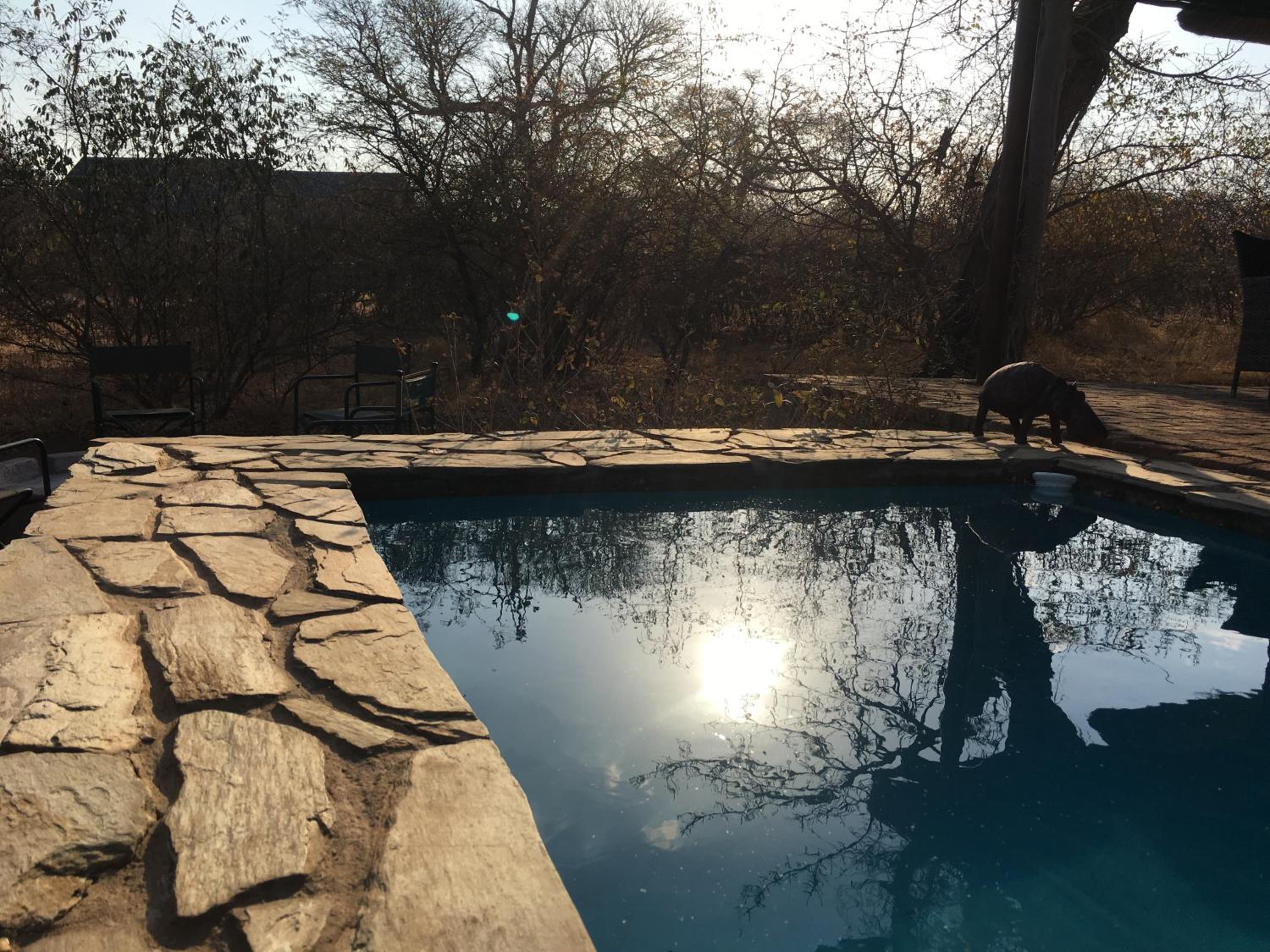 Giraffe Lodge