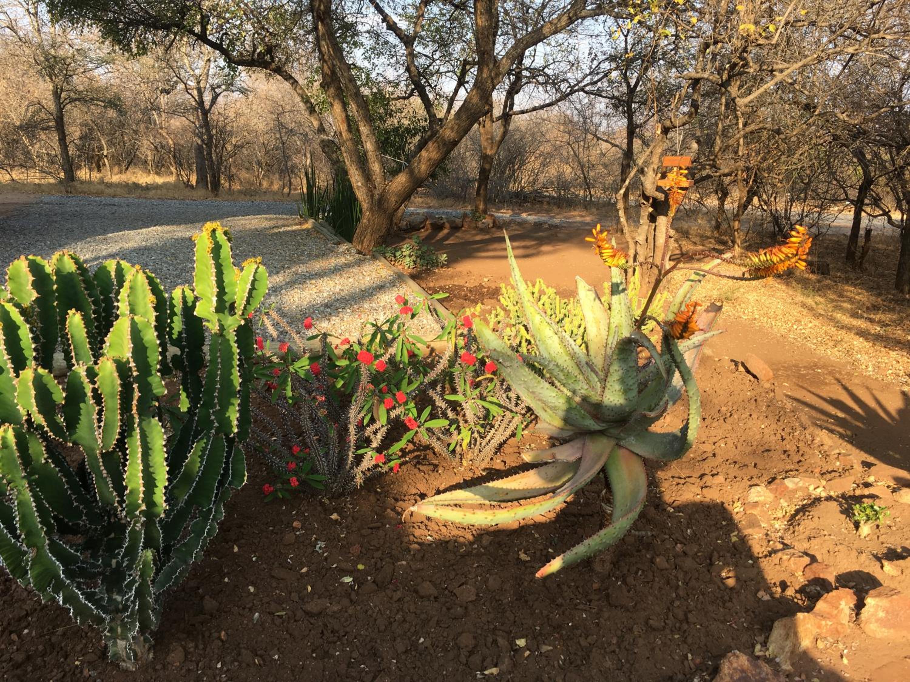 Giraffe Lodge