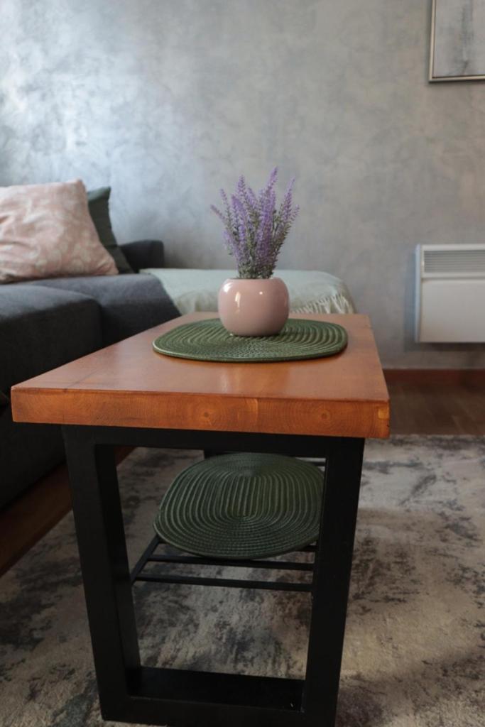 Apartman Ivanović Zlatibor view 5