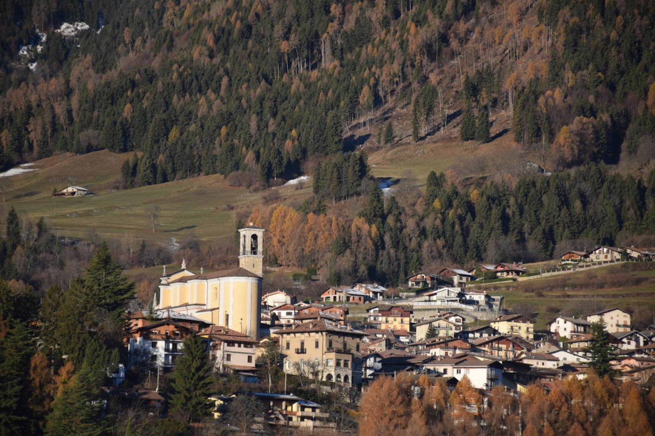 Photo 41