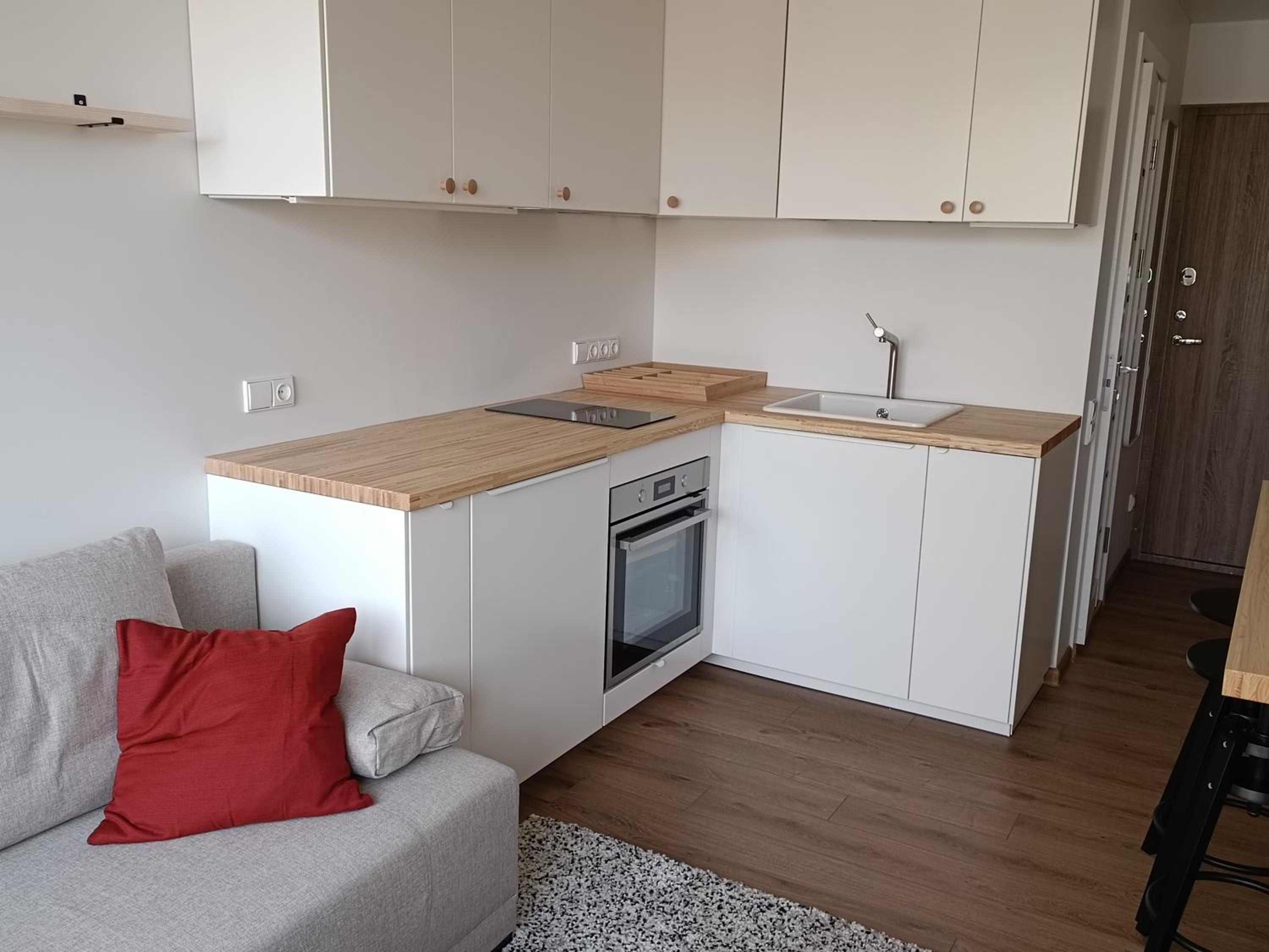 Stylish Studio in Central Vilnius view 5