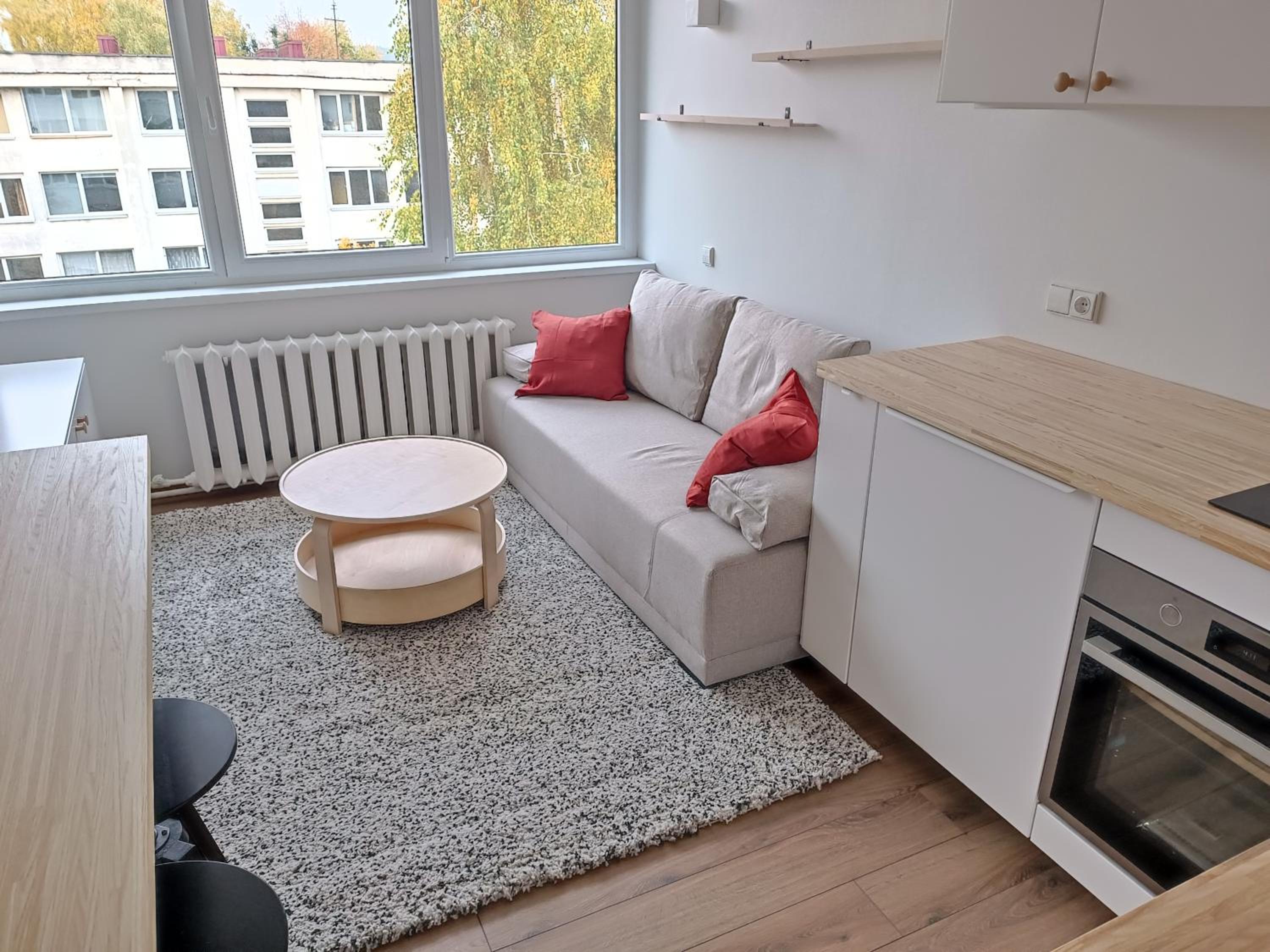 Stylish Studio in Central Vilnius view 2