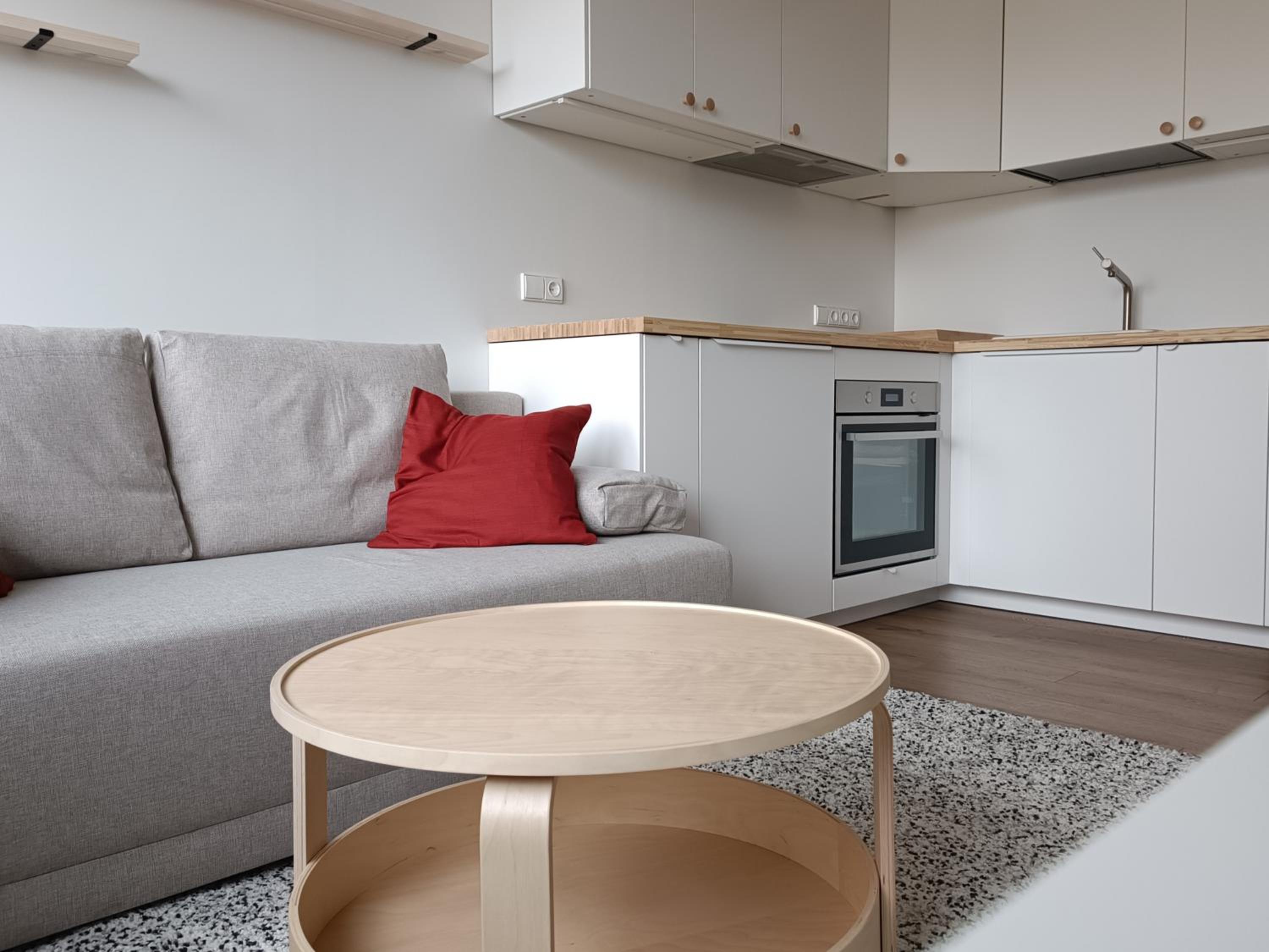 Stylish Studio in Central Vilnius view 3