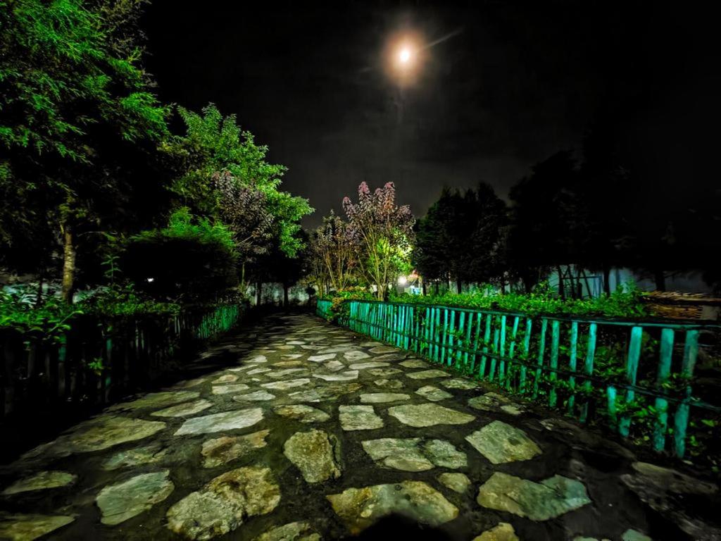 Photo 9