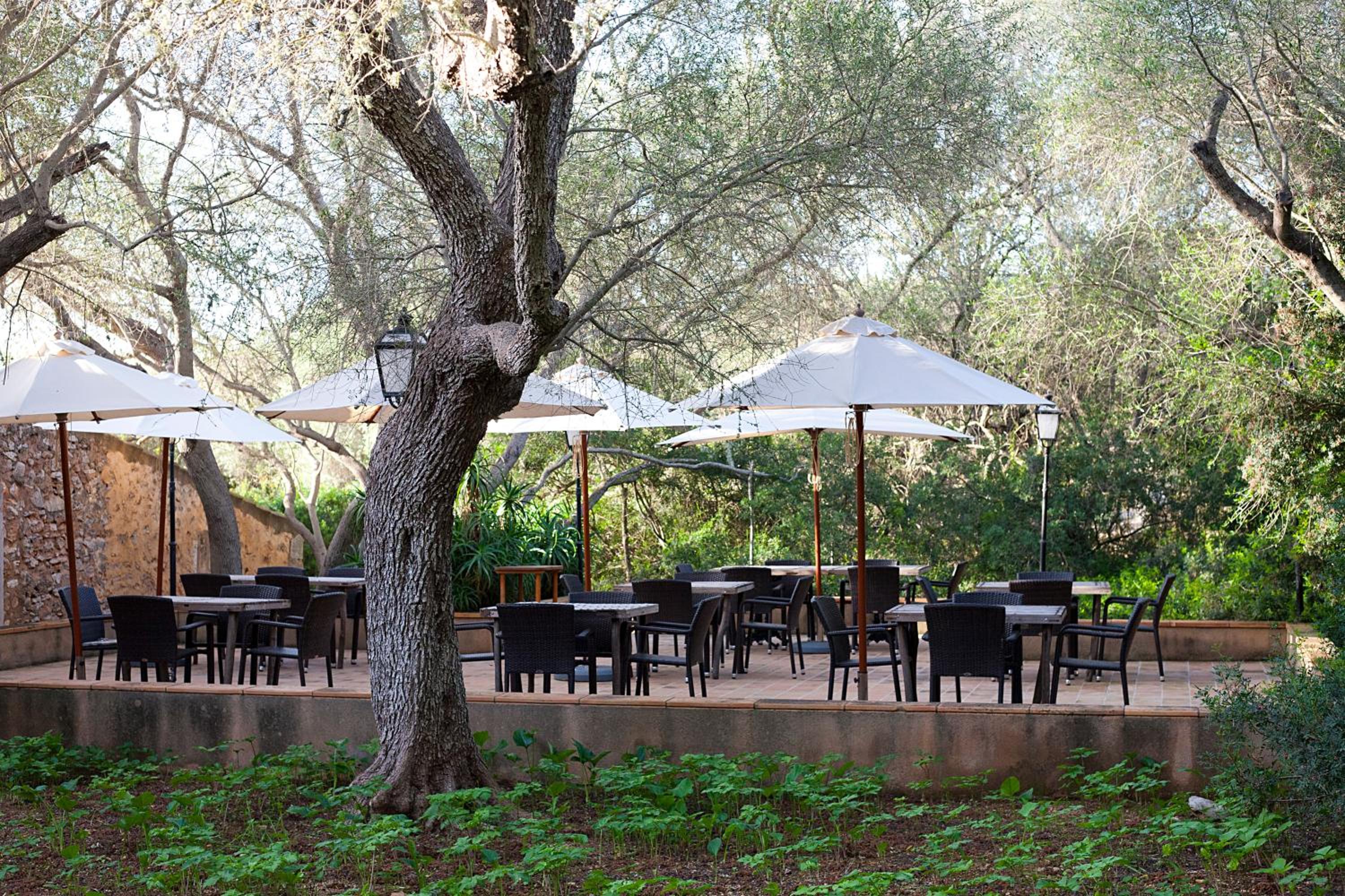 Agroturisme Ca'n Gaia