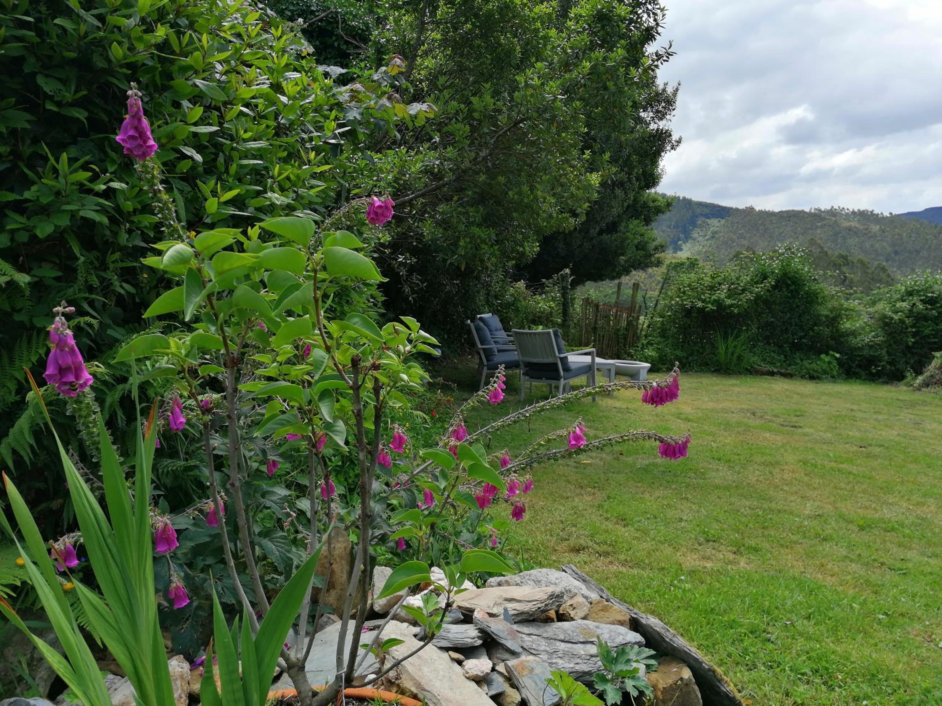Casa de piedra en pequeña aldea de Ortigueira