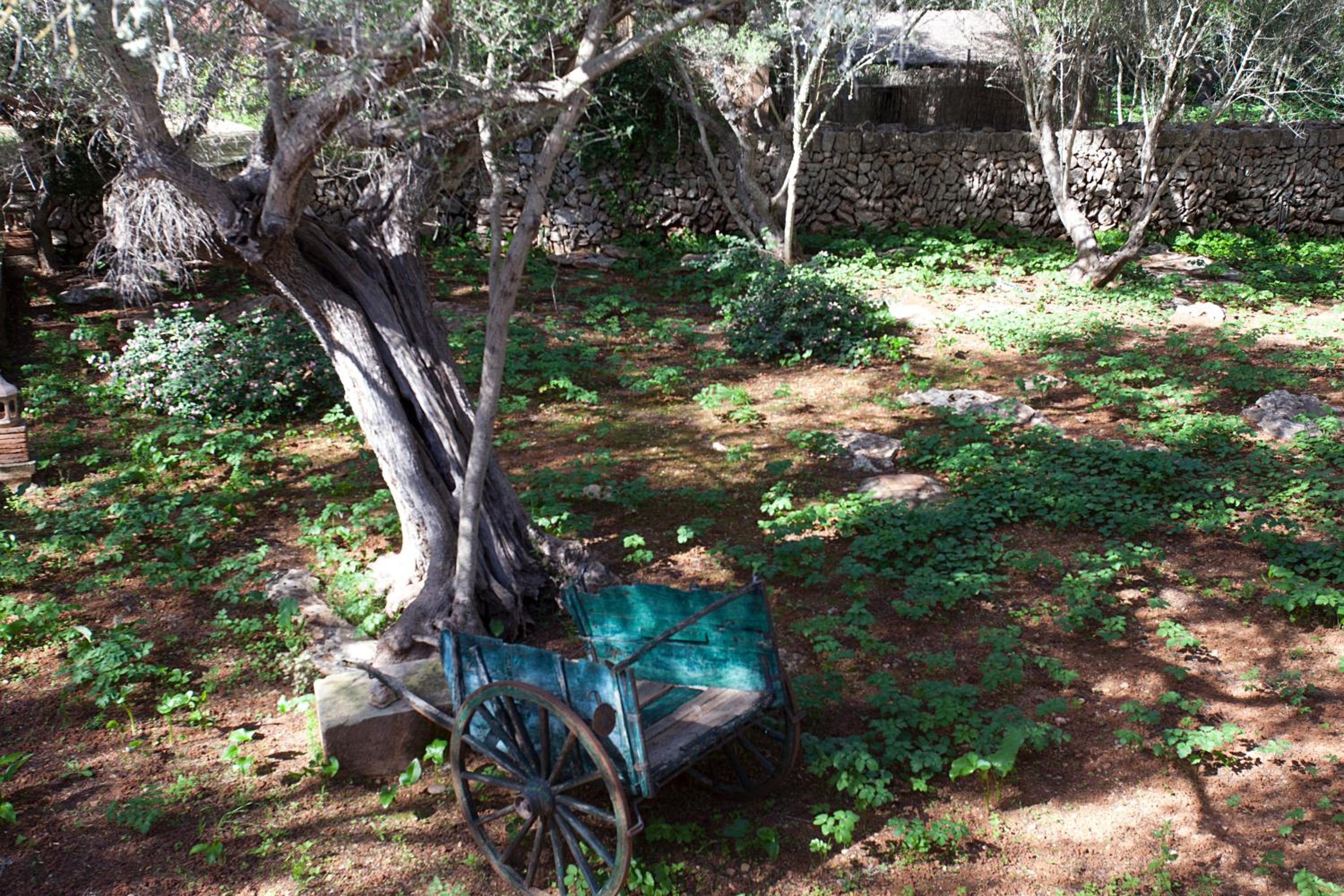 Agroturisme Ca'n Gaia