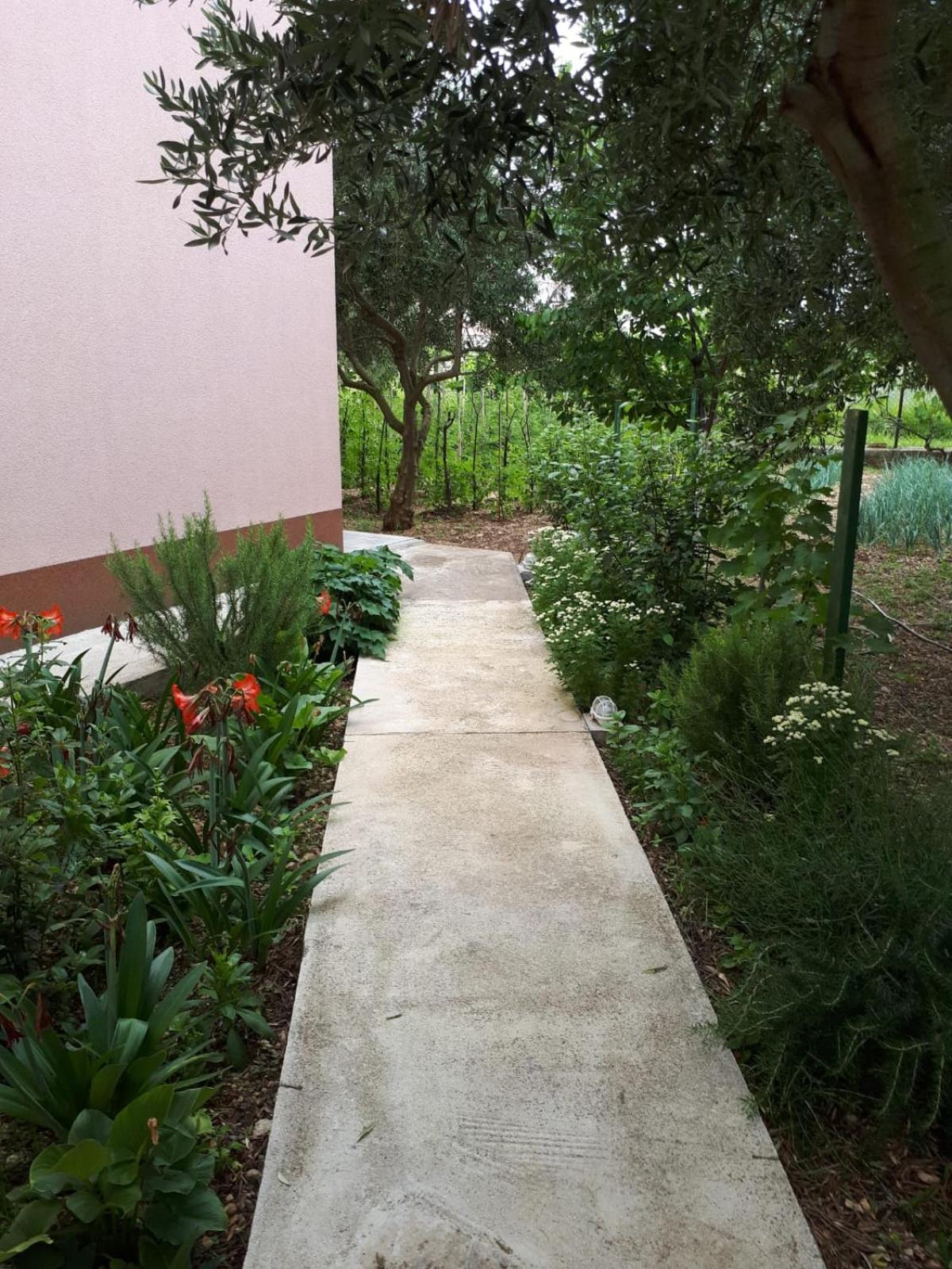 Apartman Laura view 5