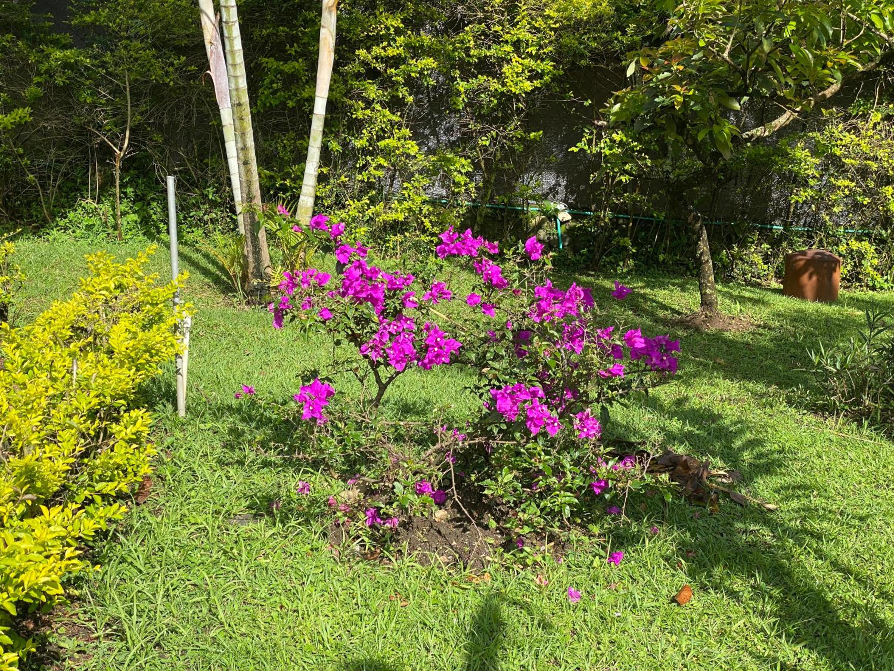 Photo 12