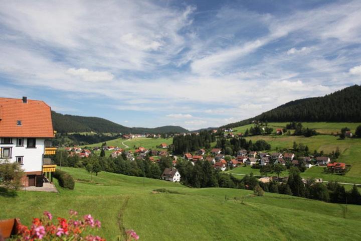 Photo 24