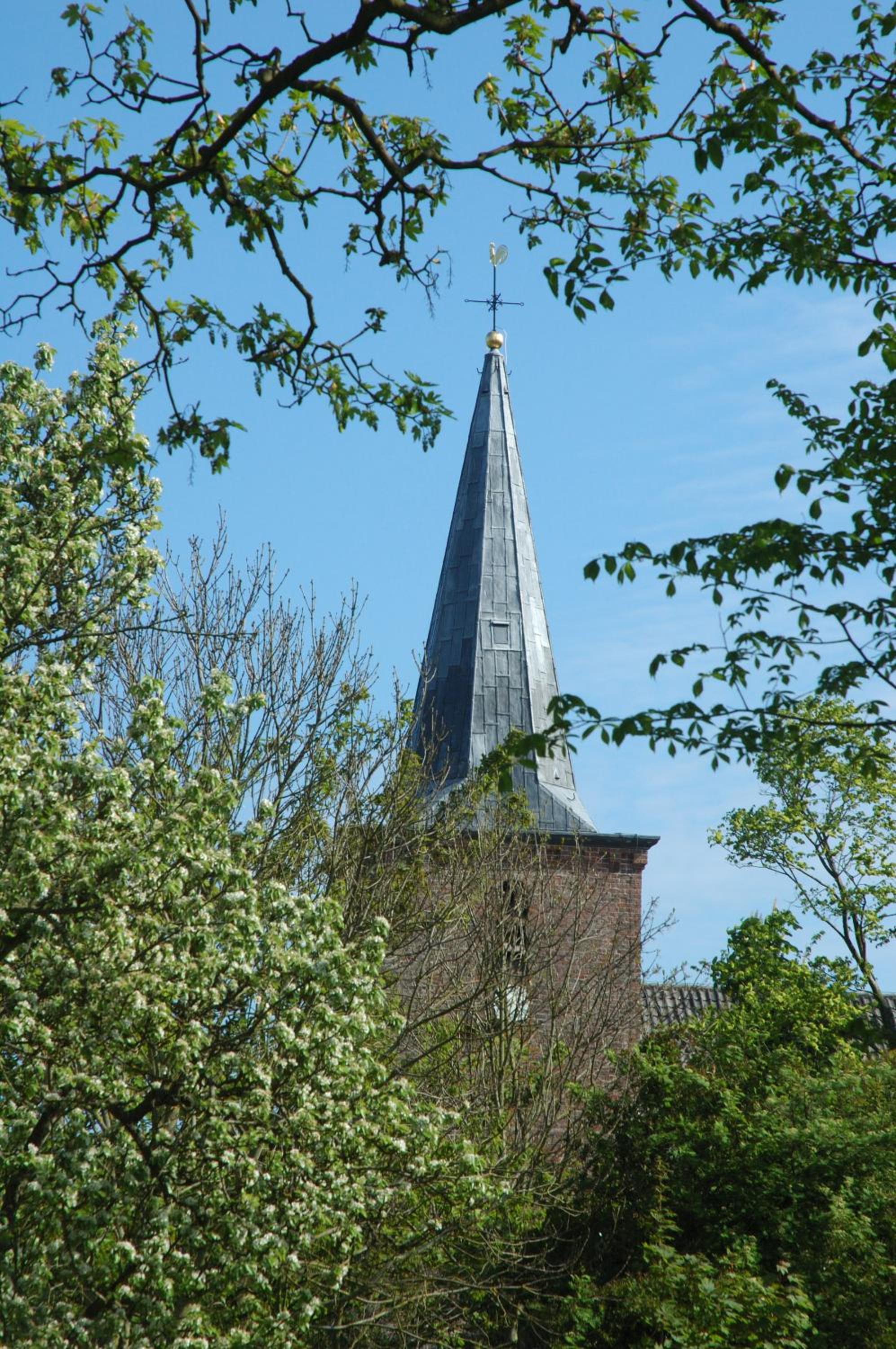 Photo 27