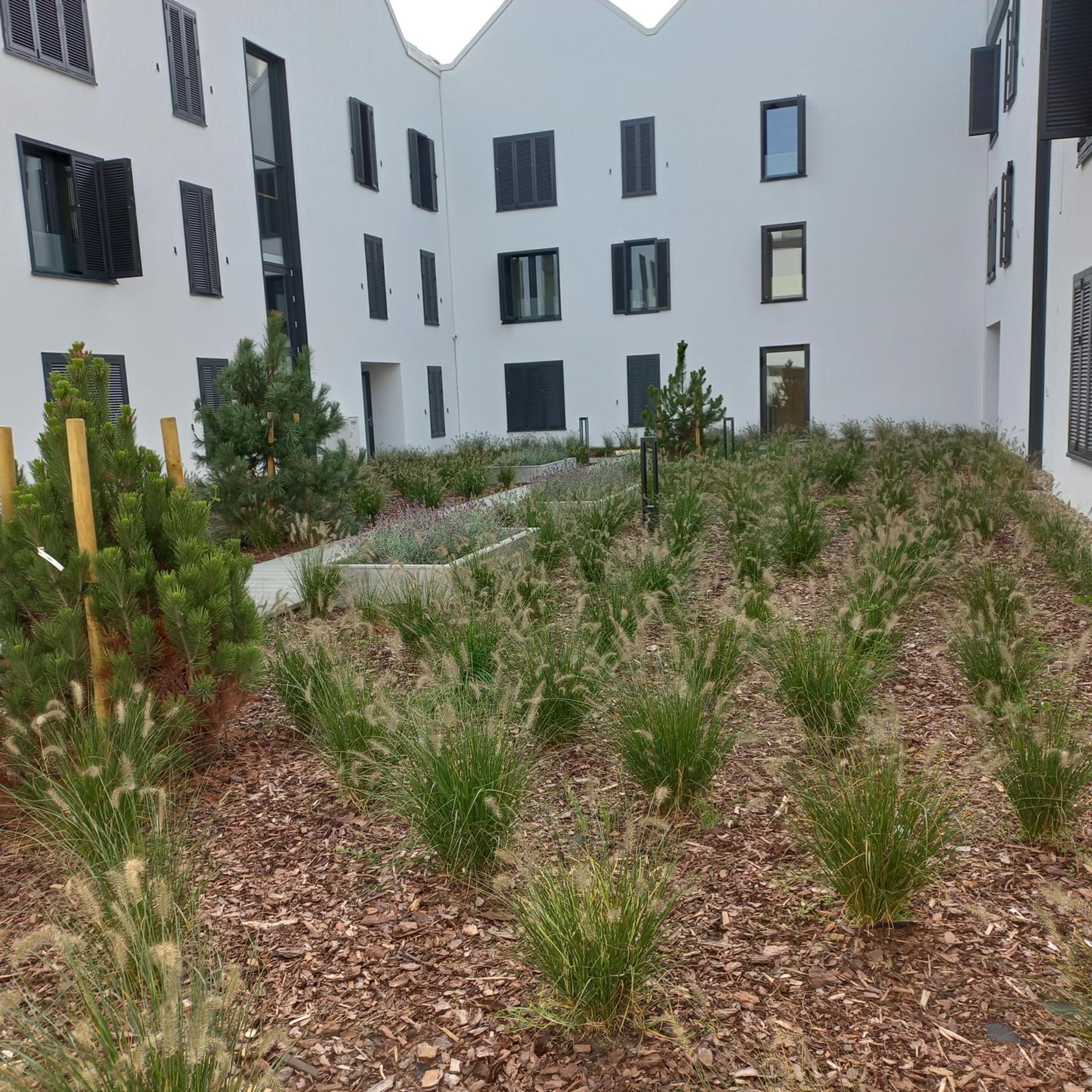 Apartament Orlando w Porto Łeba 350m od morza