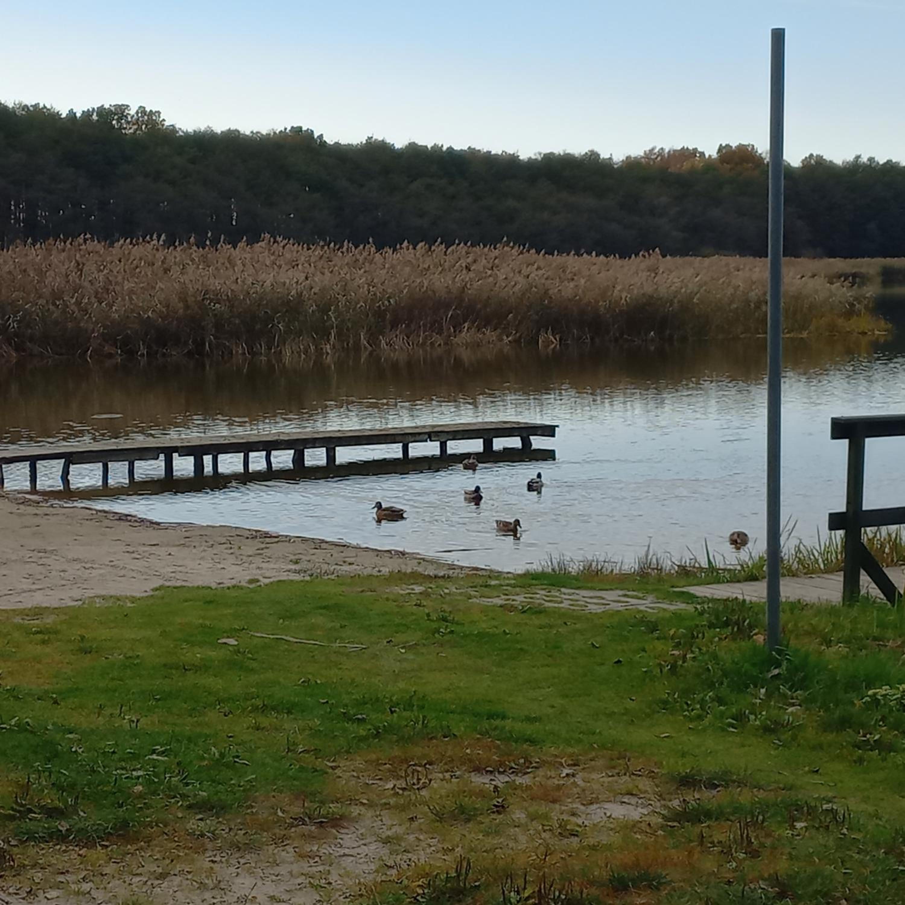 Apartament Orlando w Porto Łeba 350m od morza