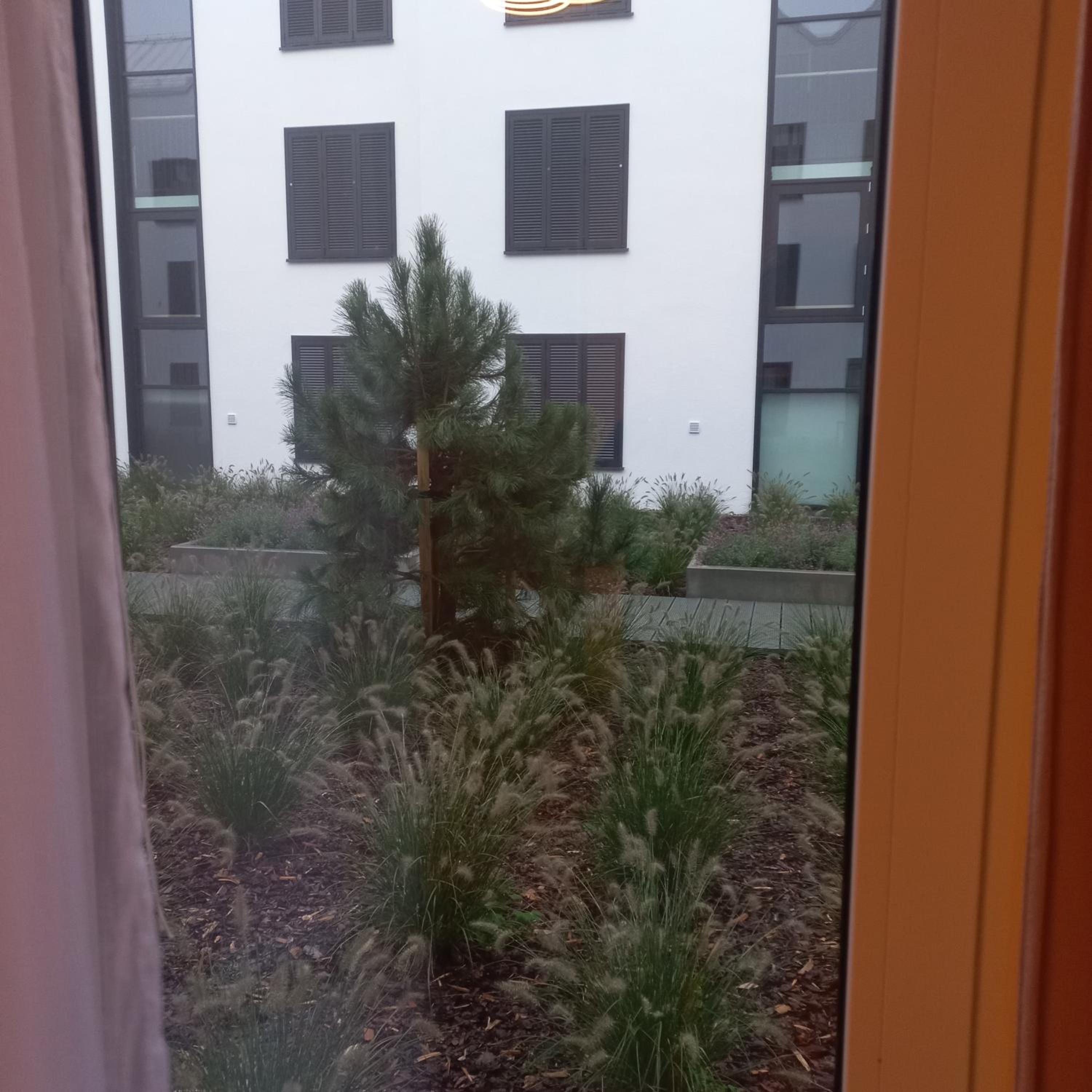 Apartament Orlando w Porto Łeba 350m od morza