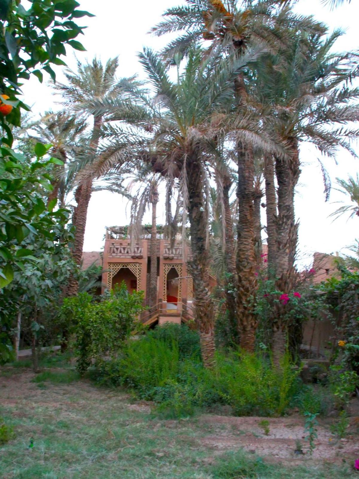 Riad Tabhirte view 4