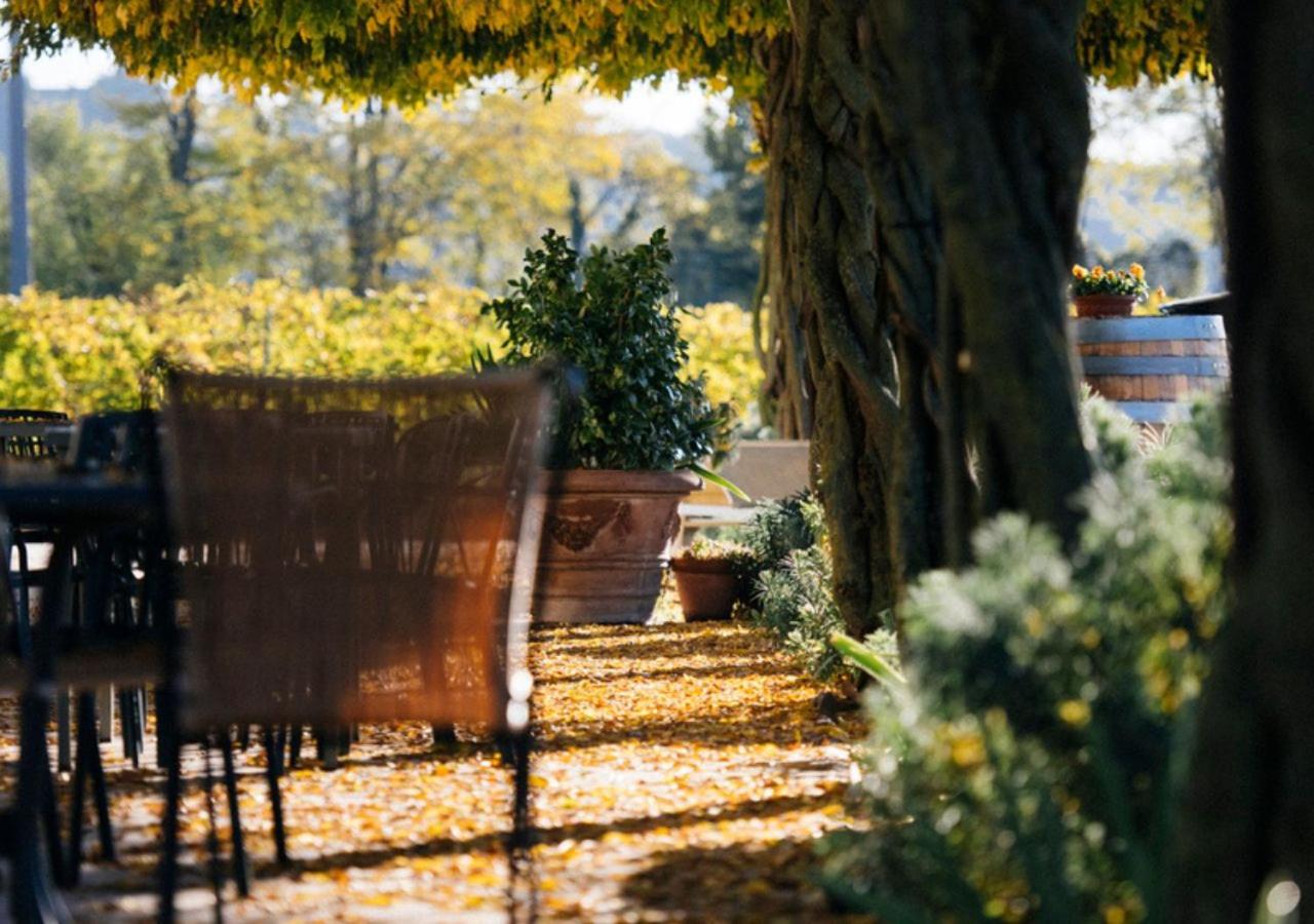Dimora Buglioni Wine Relais photo 4