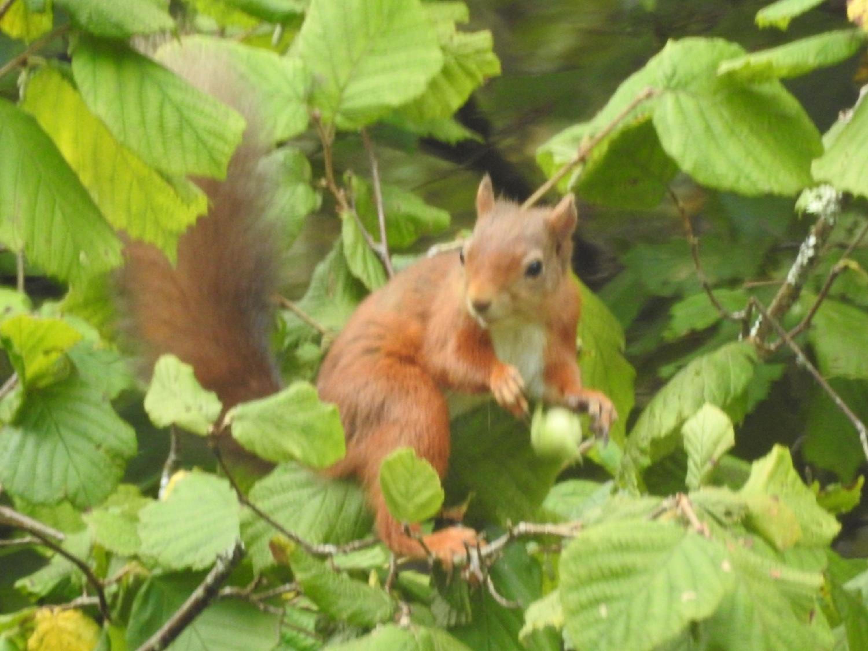 Photo 24