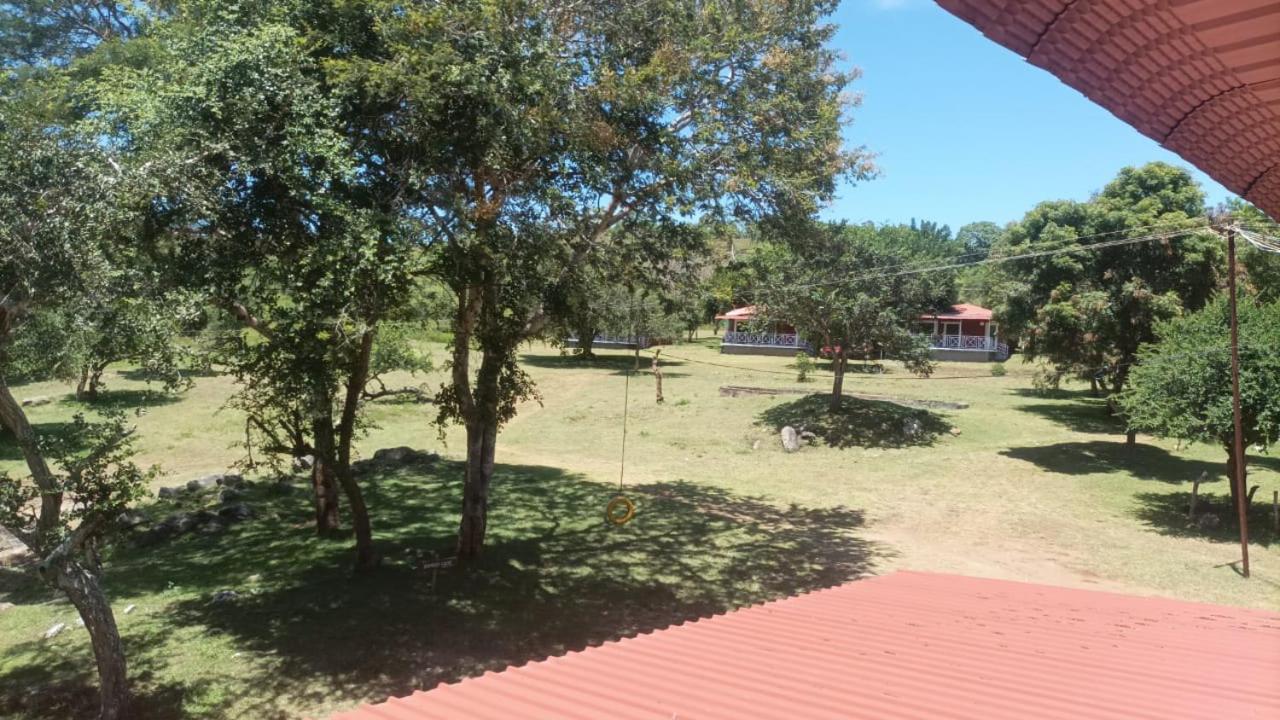 Photo 16