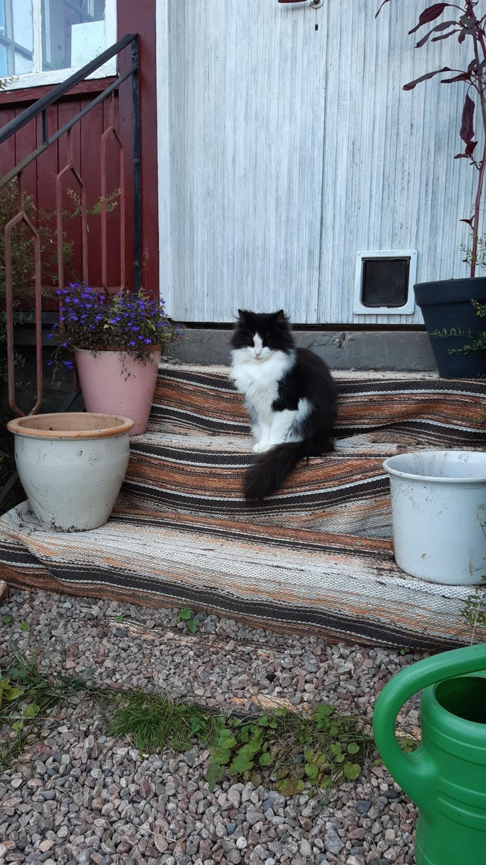 Stuga Åsnagård