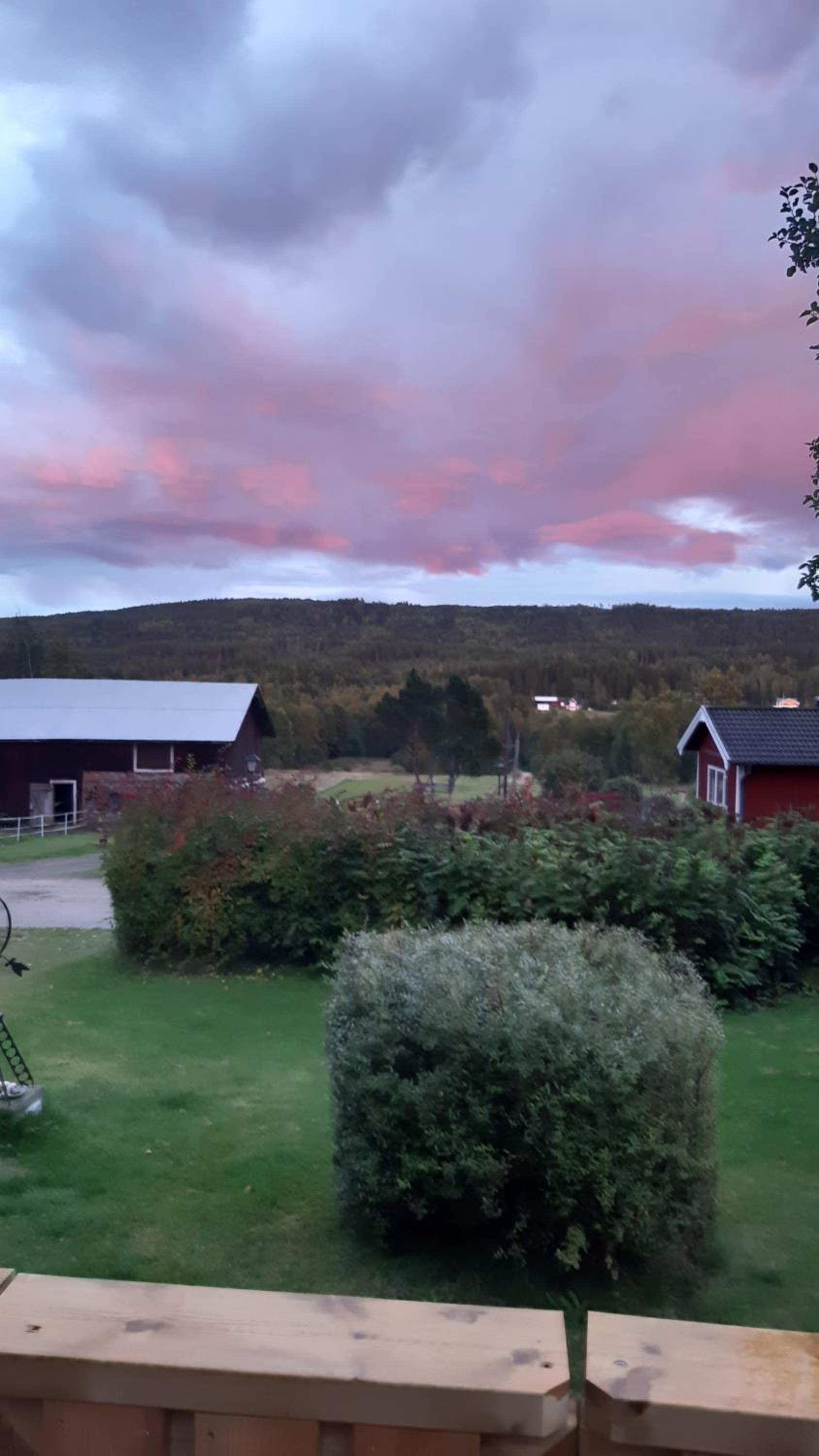 Stuga Åsnagård