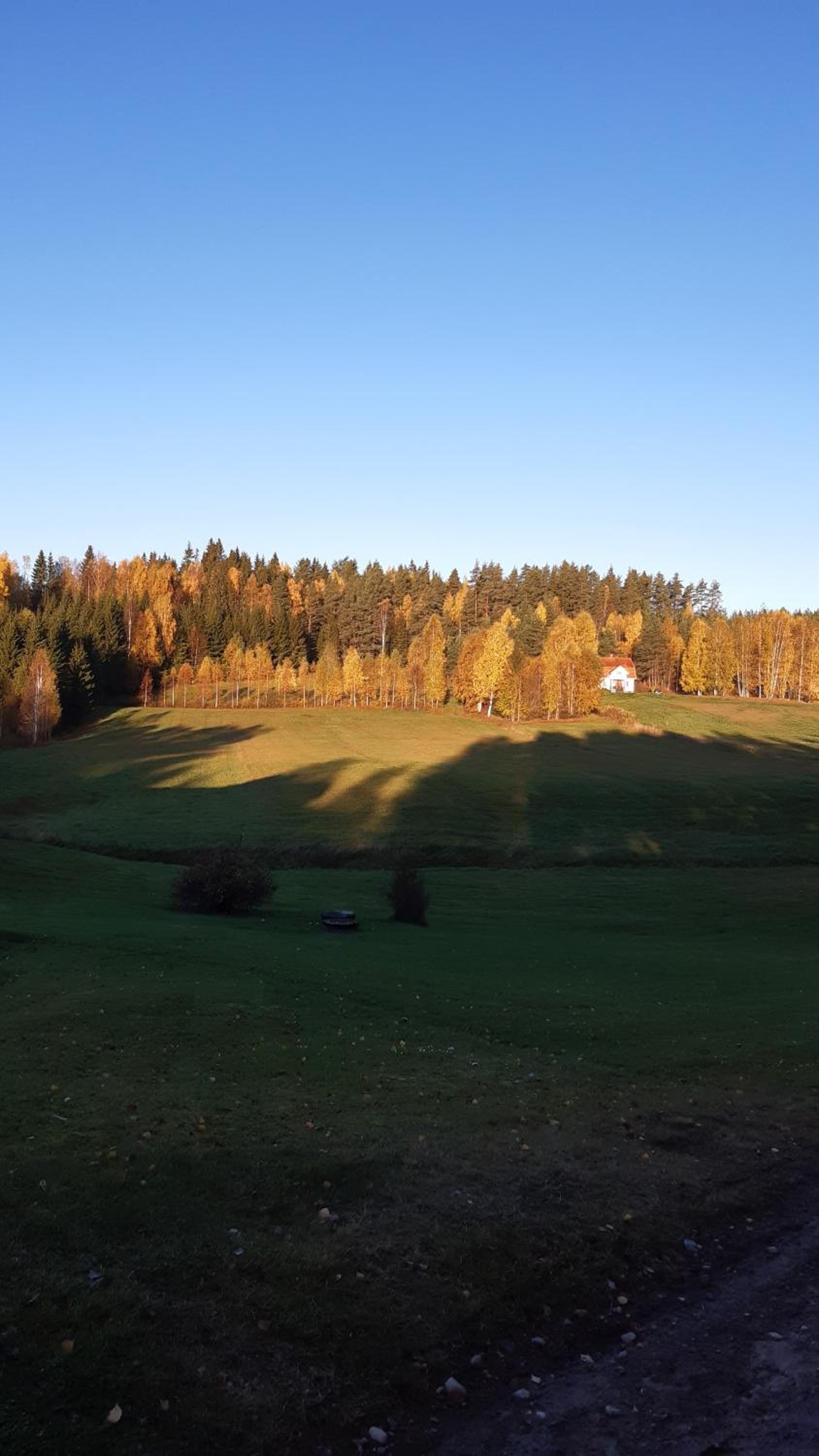 Stuga Åsnagård