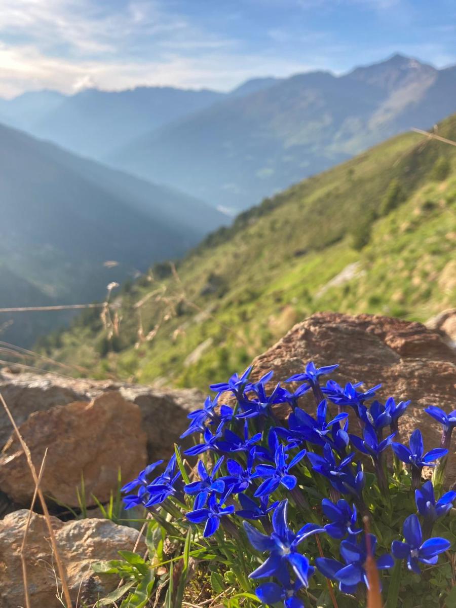 Photo 32