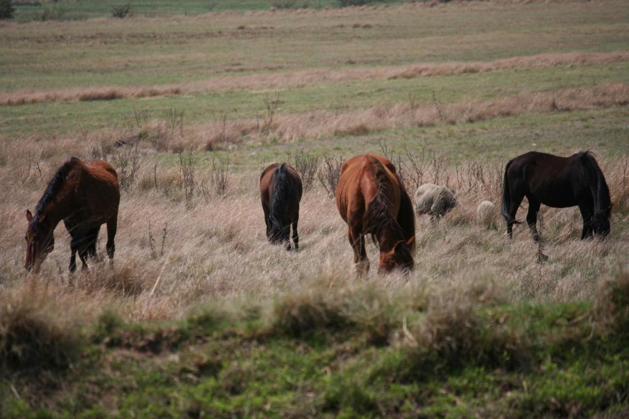 Forellenhof Guest Farm