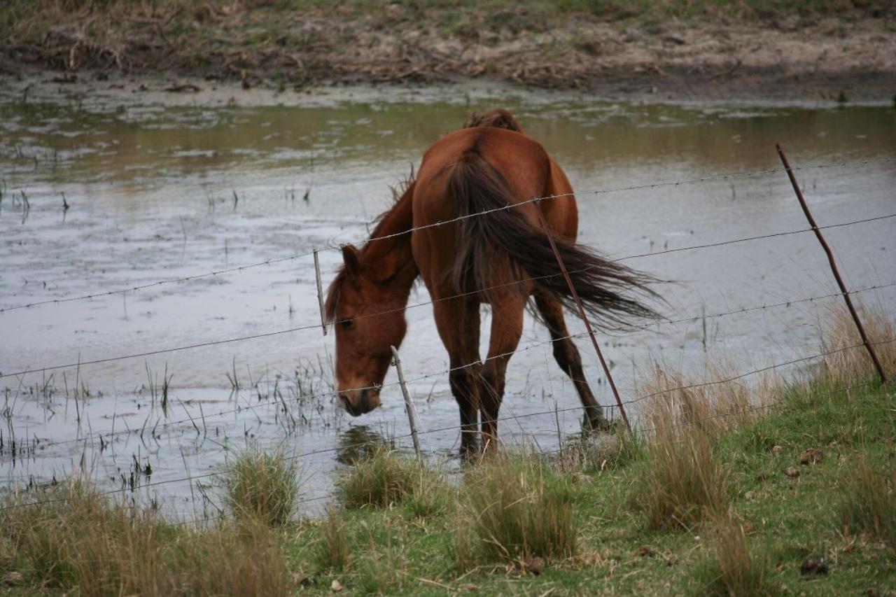 Forellenhof Guest Farm