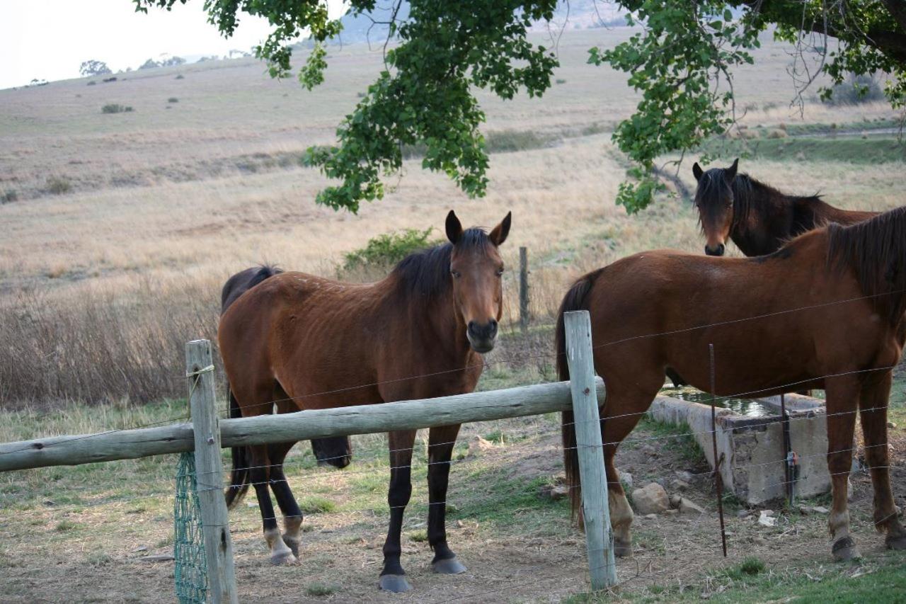 Forellenhof Guest Farm
