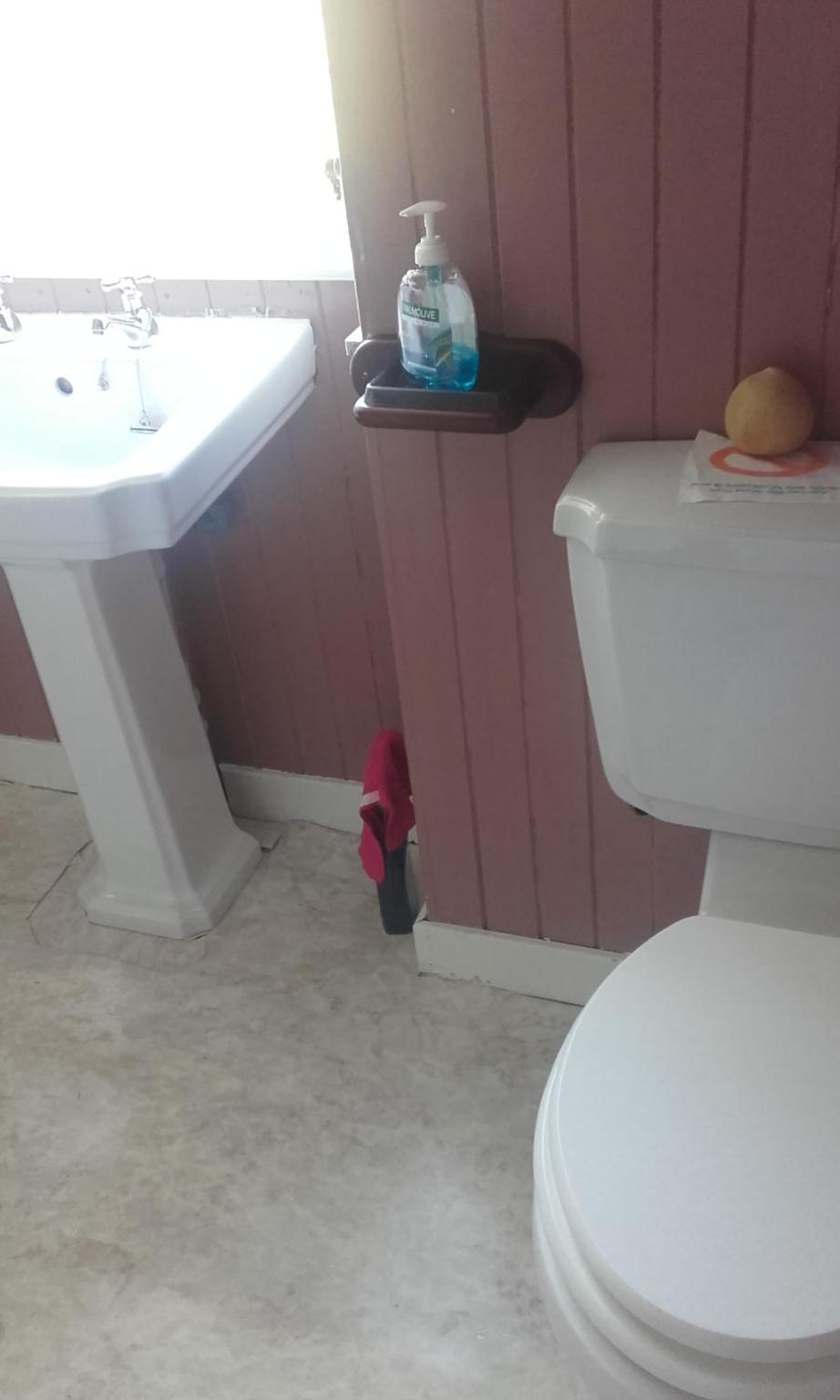 Braeside cottage