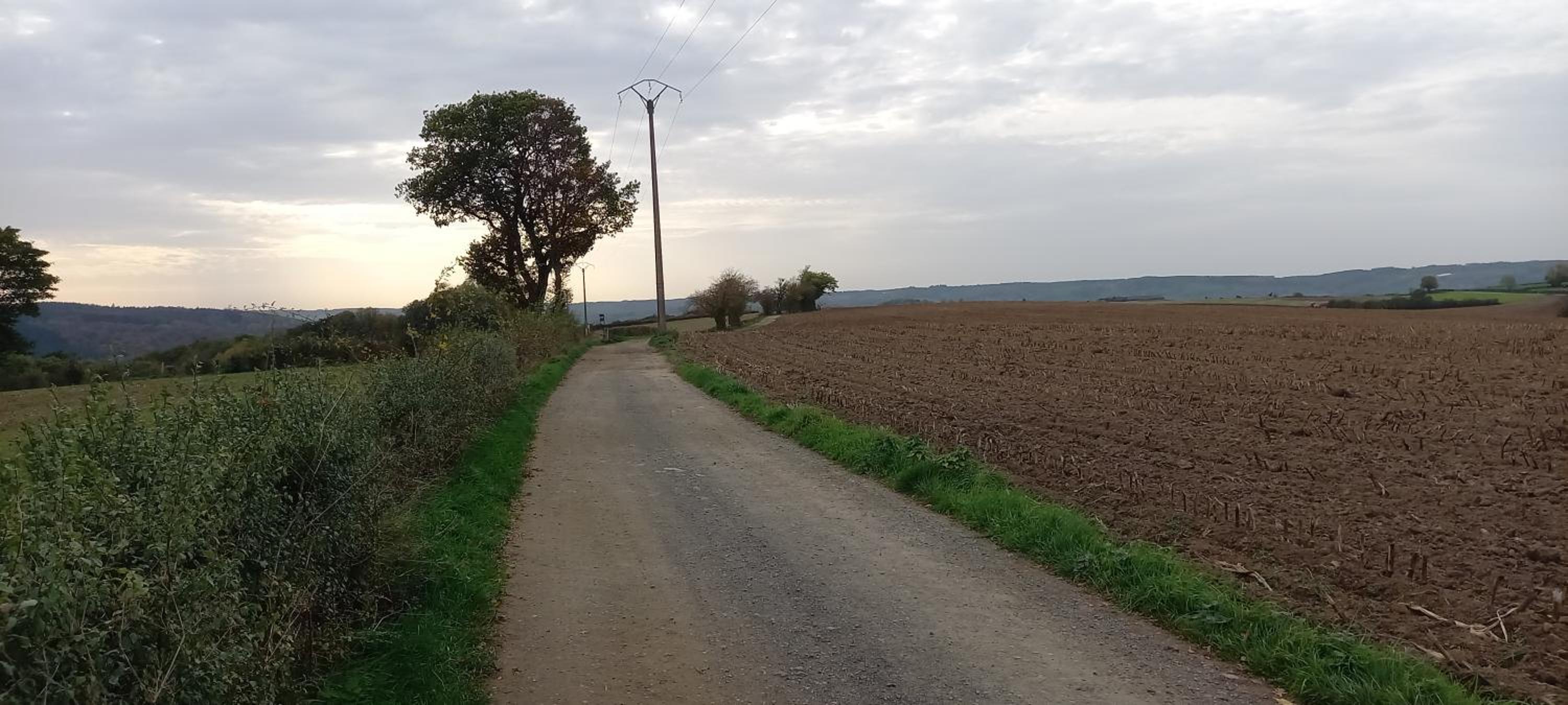Photo 38