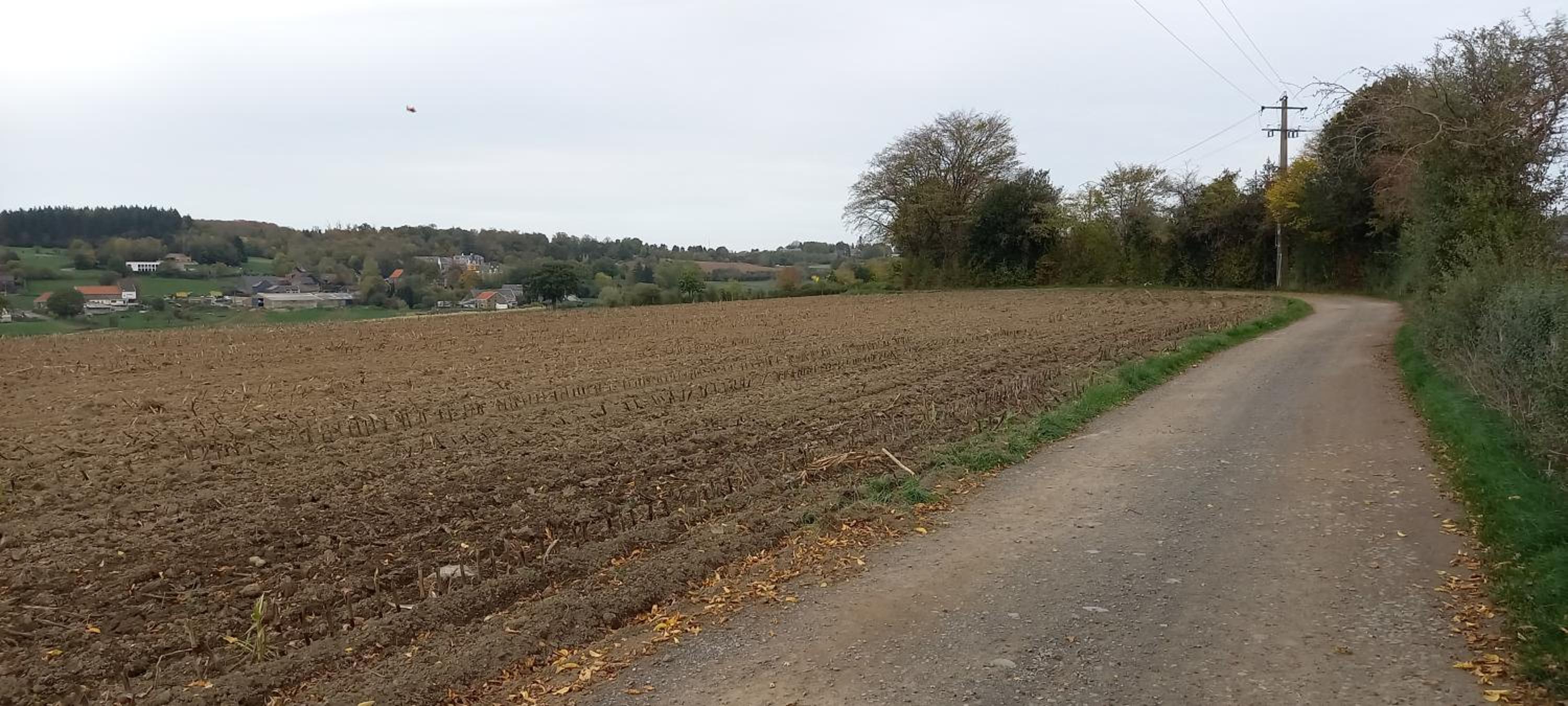 Photo 40