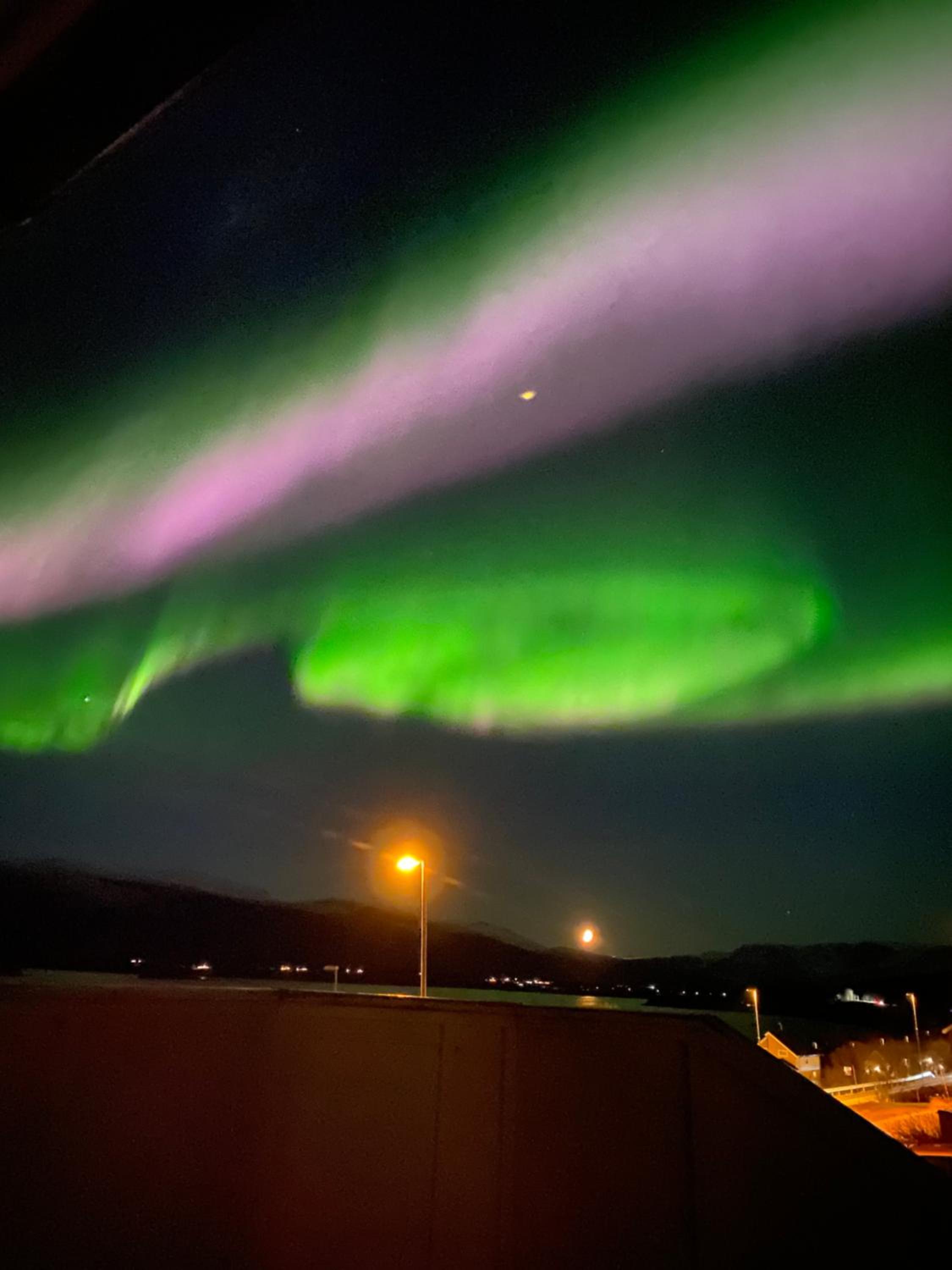 Lyngen, Mackay appartment, Lyngen view 3