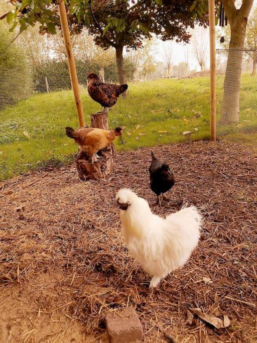 De Skure: vakantiewoning op boerderij