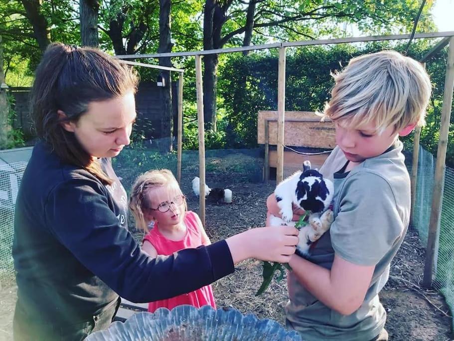 De Skure: vakantiewoning op boerderij