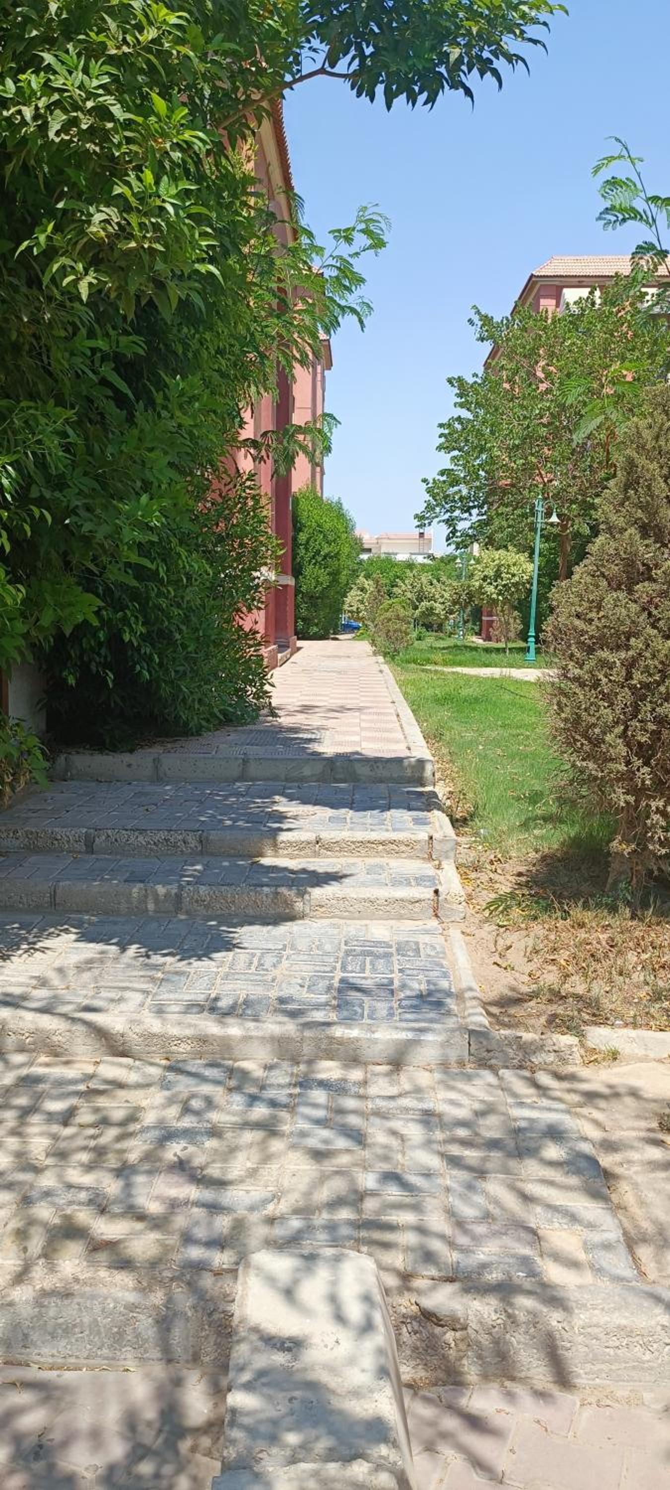 Photo 38