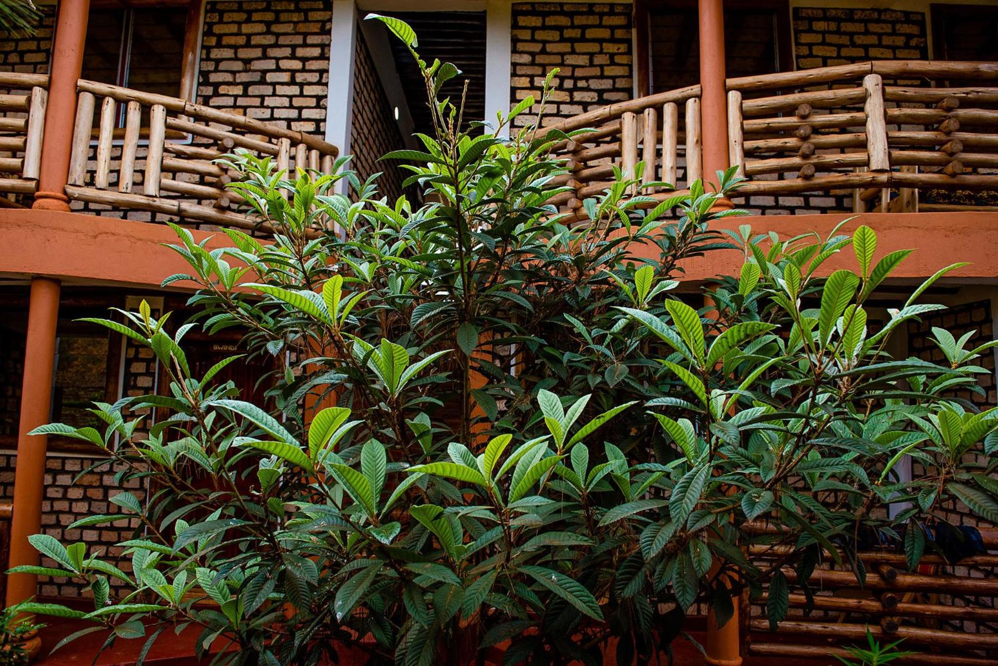 Elite Backpackers Services
