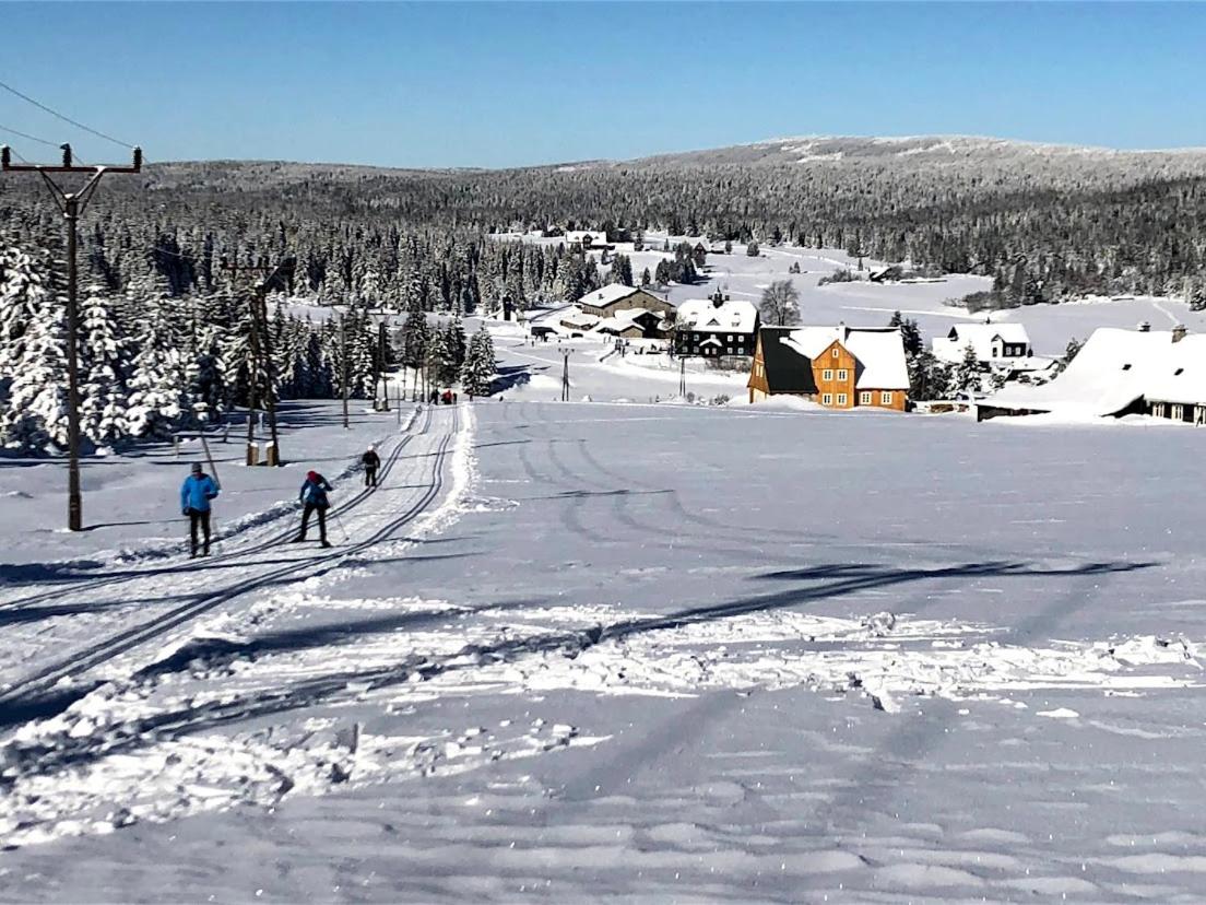 Mountain chalet view 2