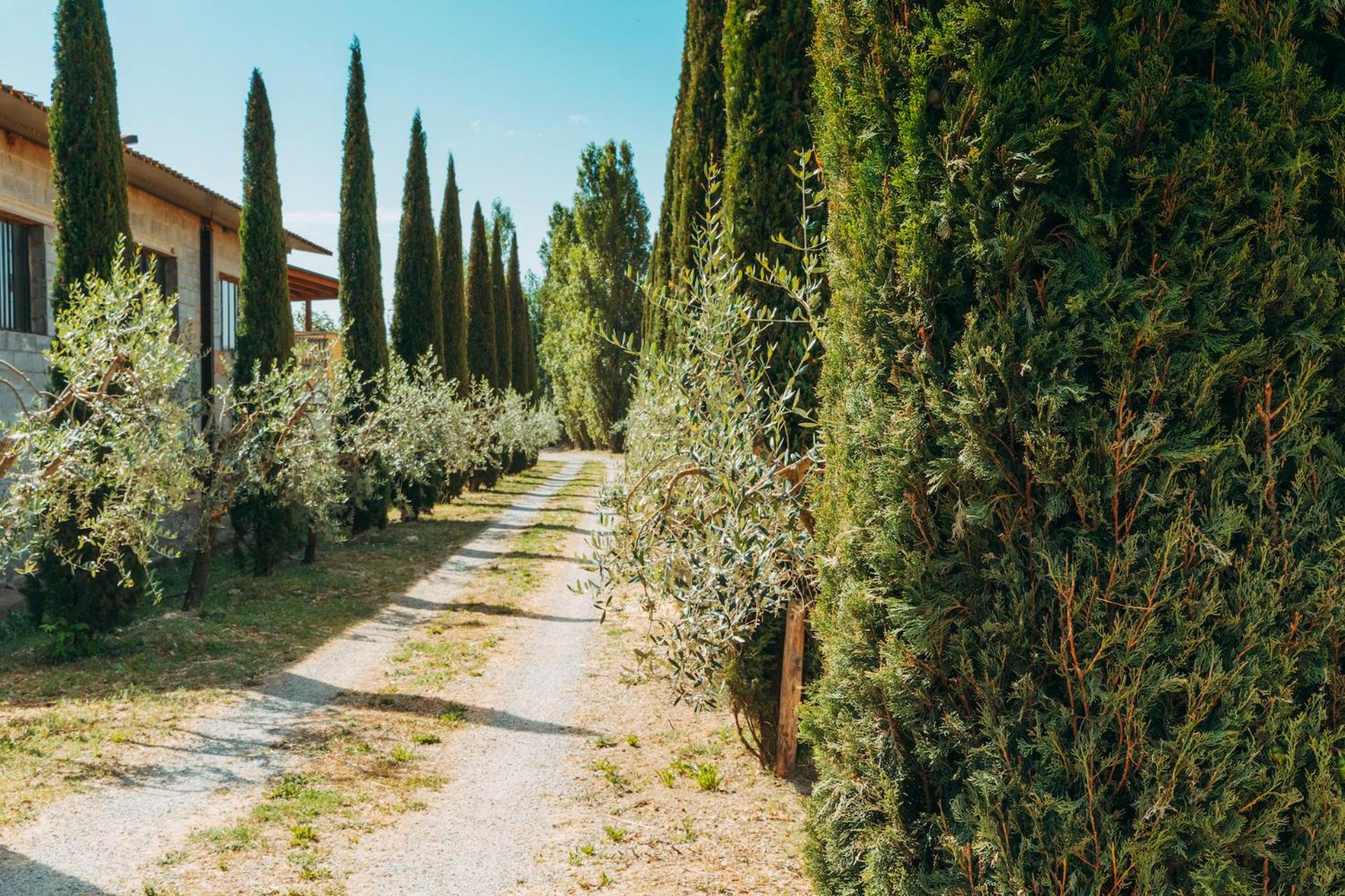 Agriturismo Il Borgo