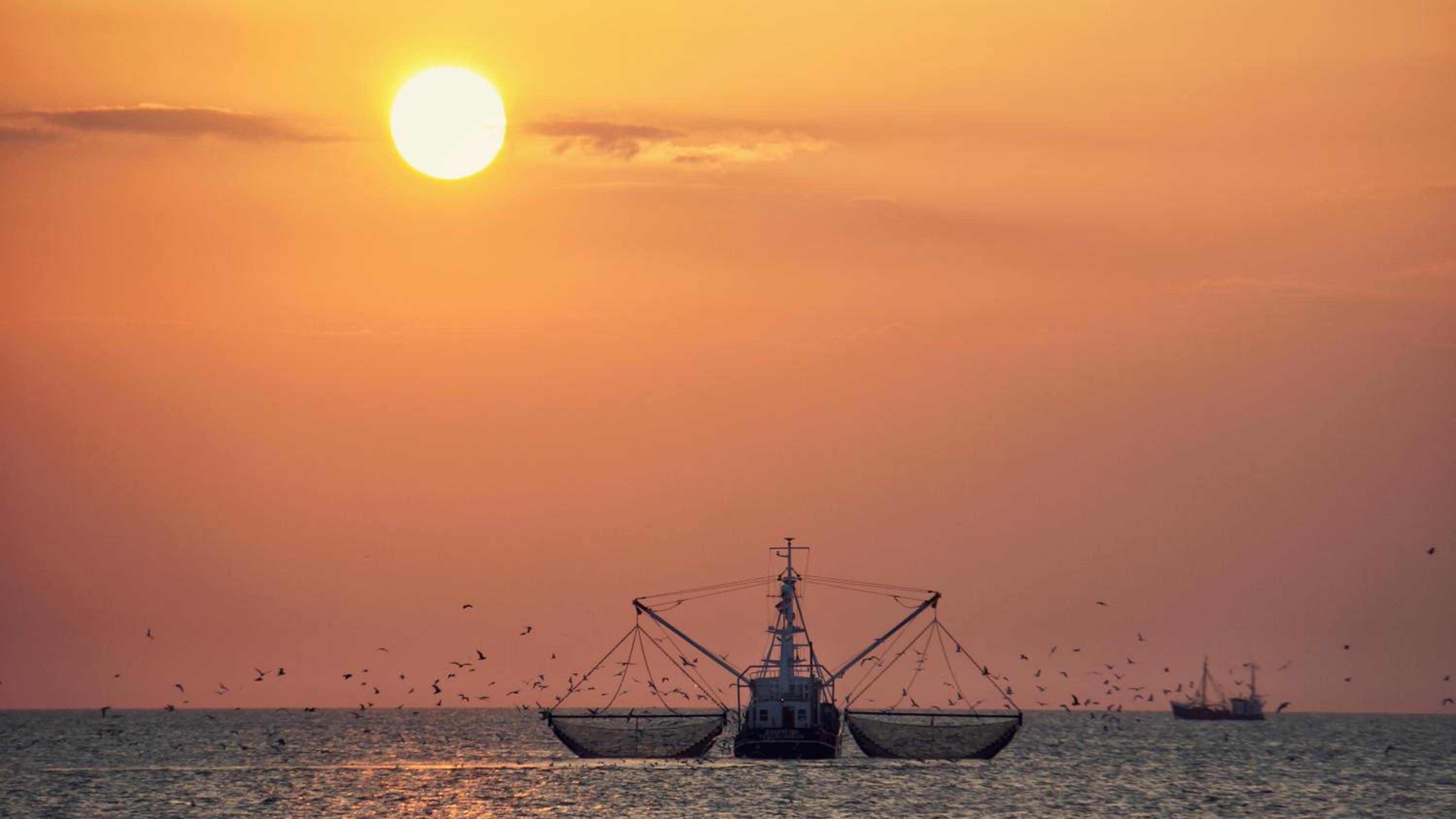 Ferienhus #1 Nordfriesland