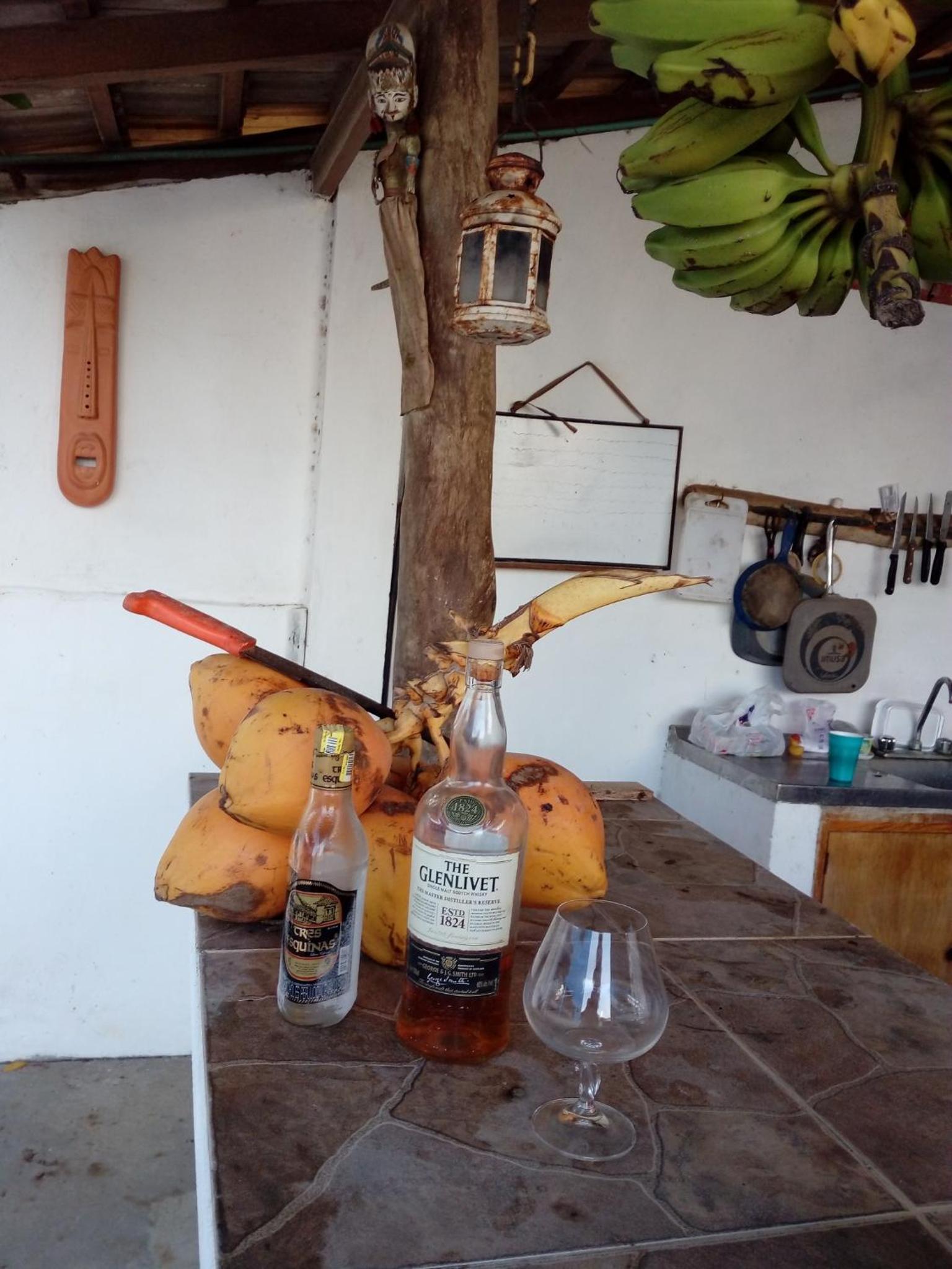 Galerazambahostal
