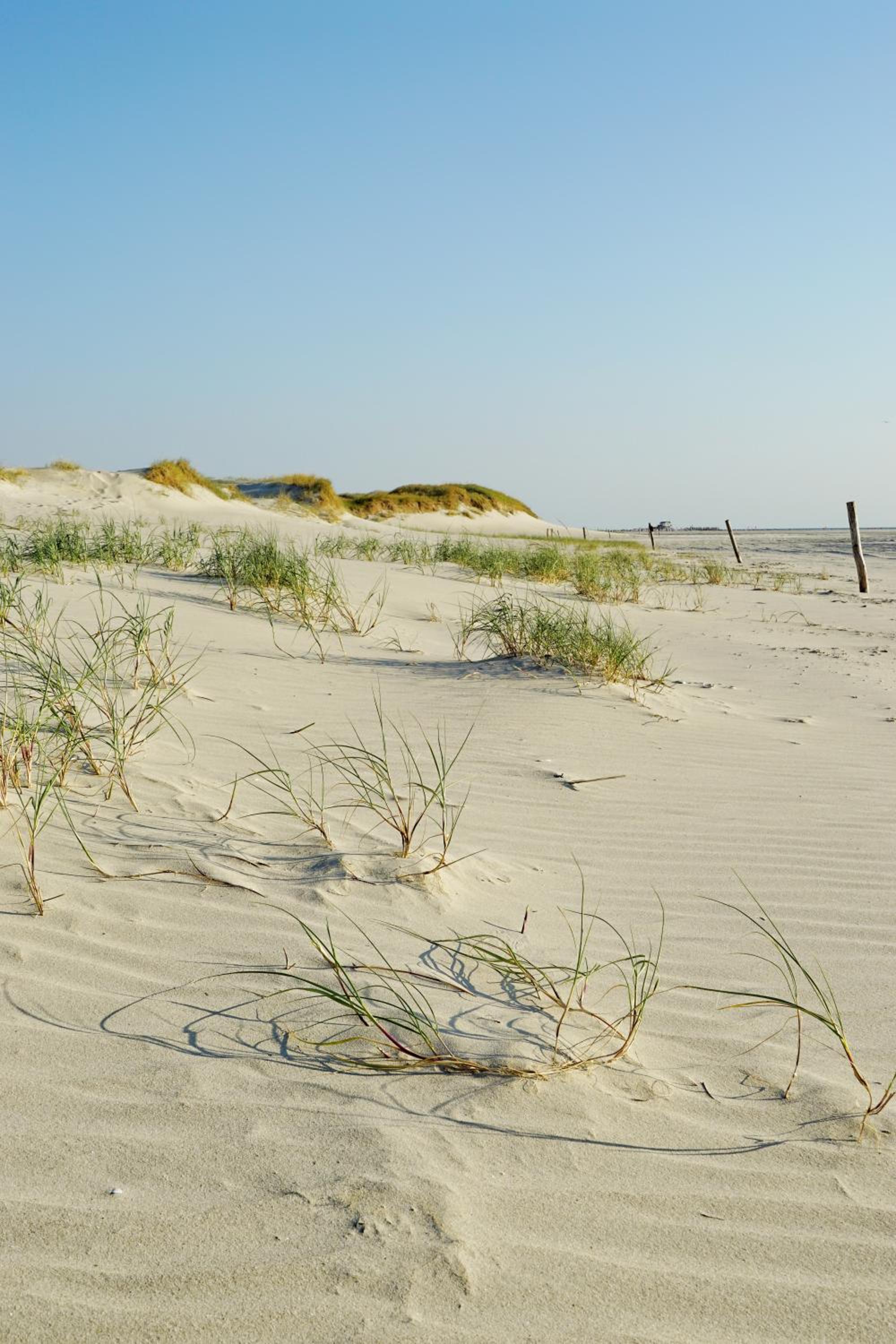 Ferienhus #1 Nordfriesland
