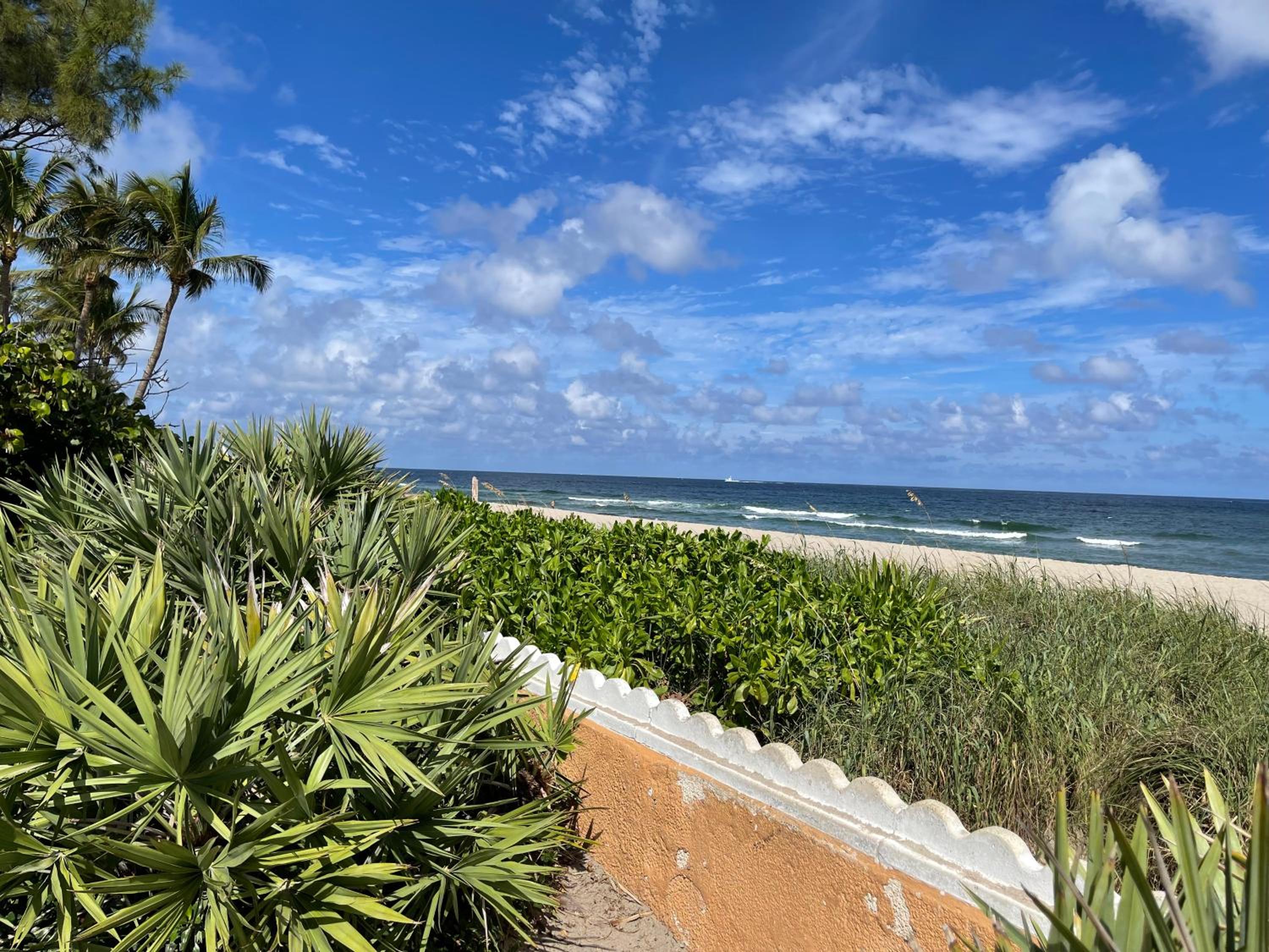 2BR Comfortable Downtown House Near Beach and More view 4