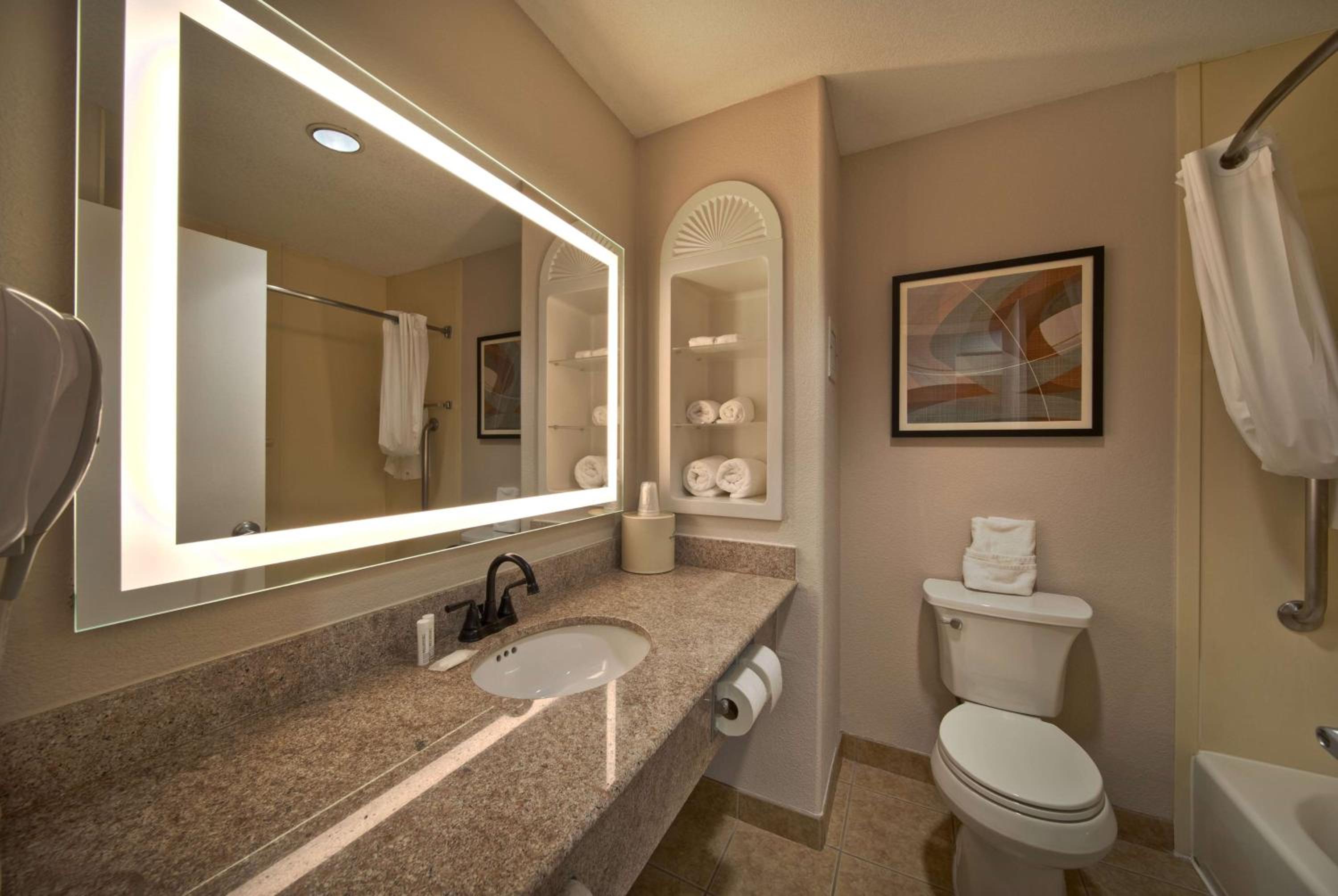 Wingate by Wyndham Houston Bush Intercontinental Airport - Property Image 55