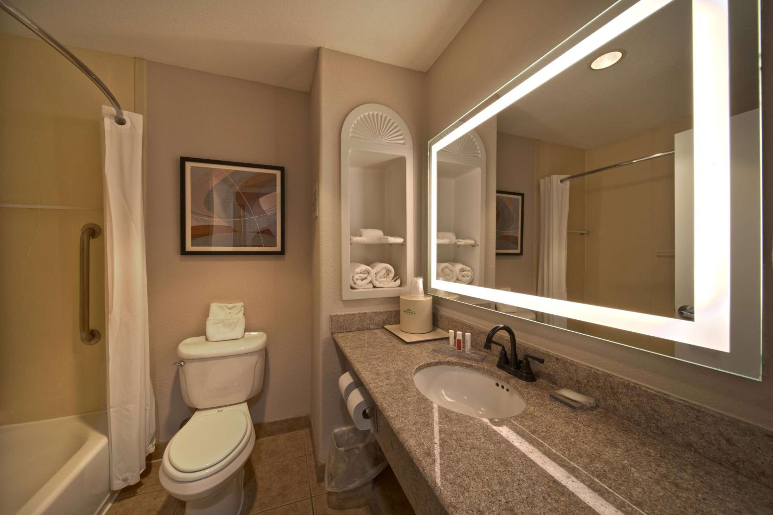 Wingate by Wyndham Houston Bush Intercontinental Airport - Property Image 62