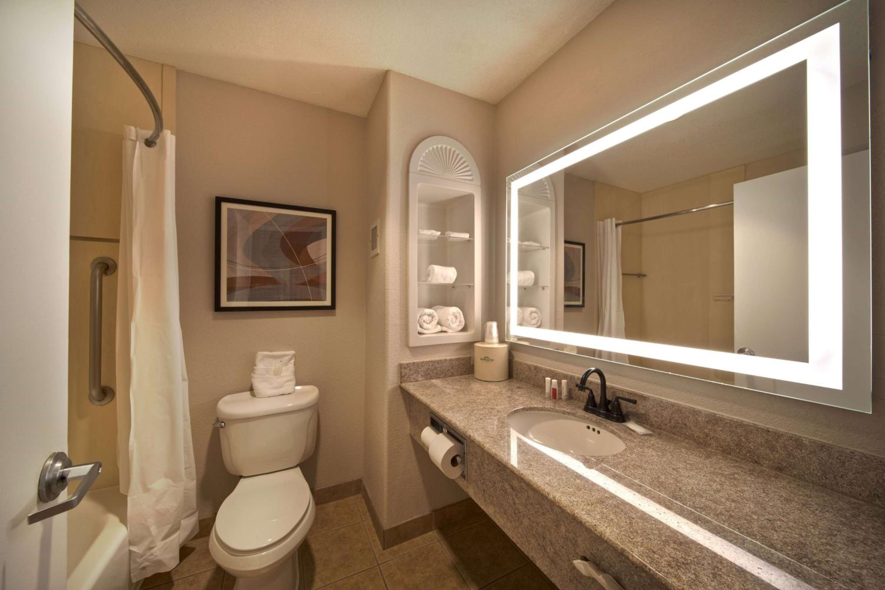 Wingate by Wyndham Houston Bush Intercontinental Airport - Property Image 63