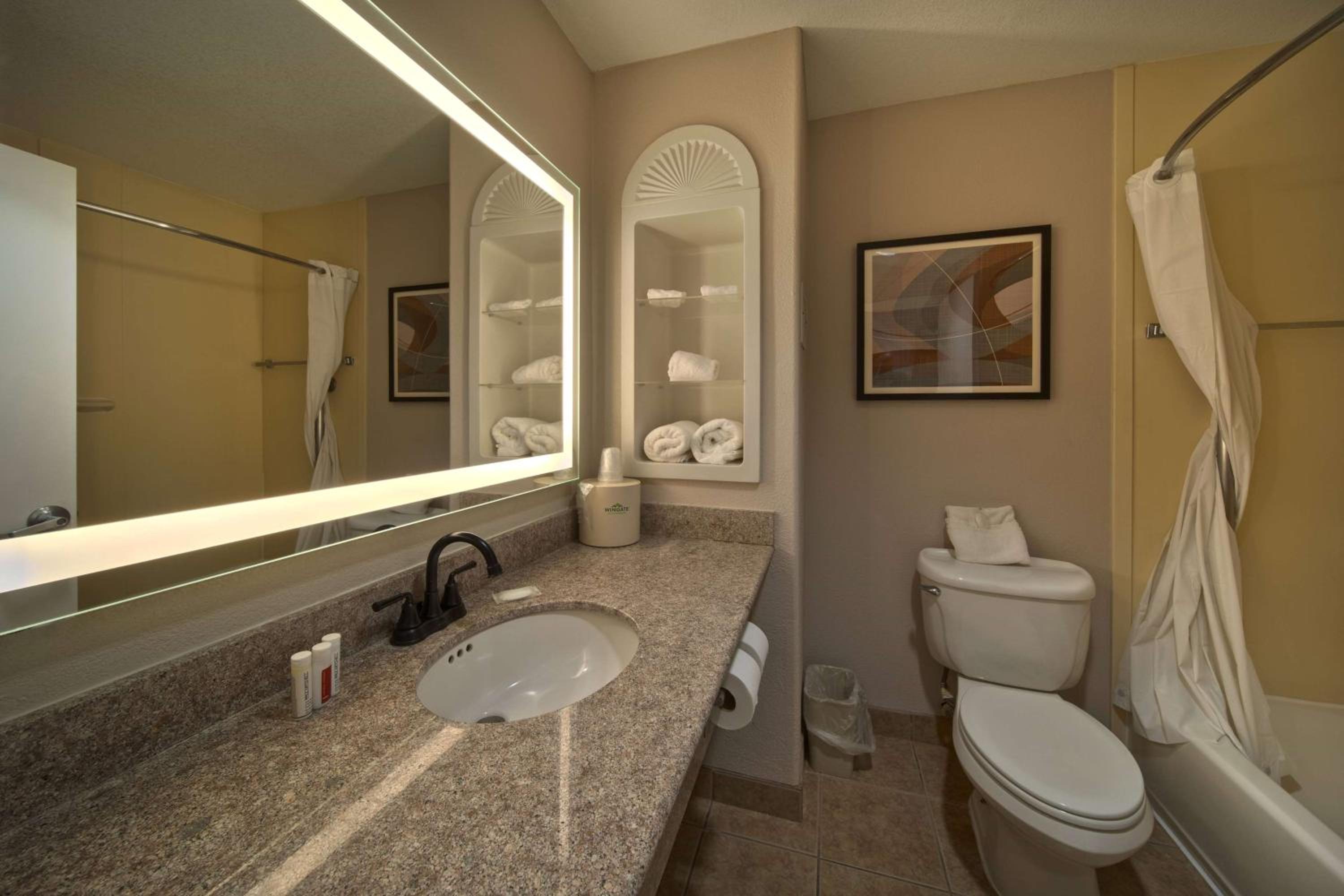 Wingate by Wyndham Houston Bush Intercontinental Airport - Property Image 61