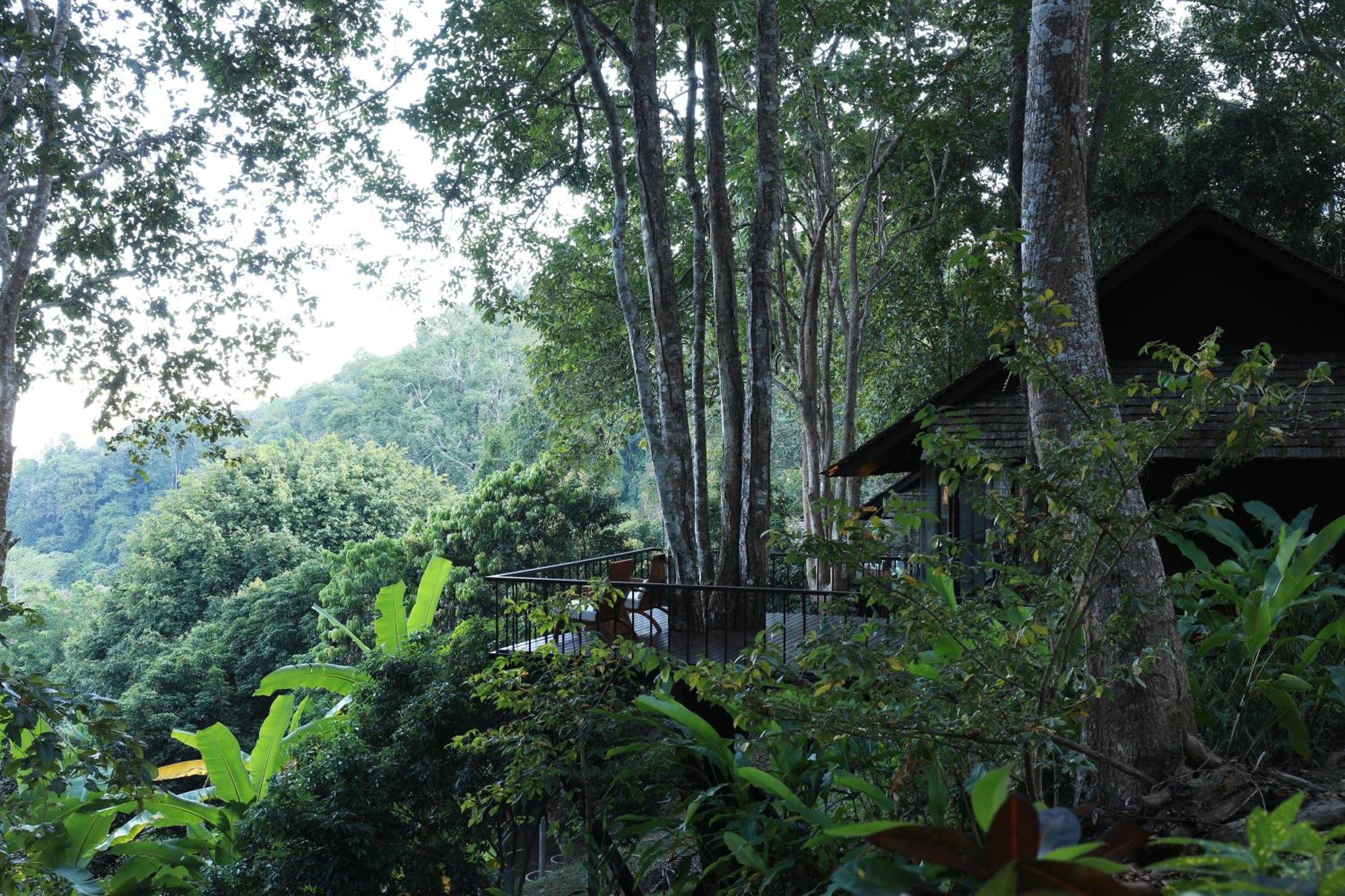 Vanilla hill (hill lodge)