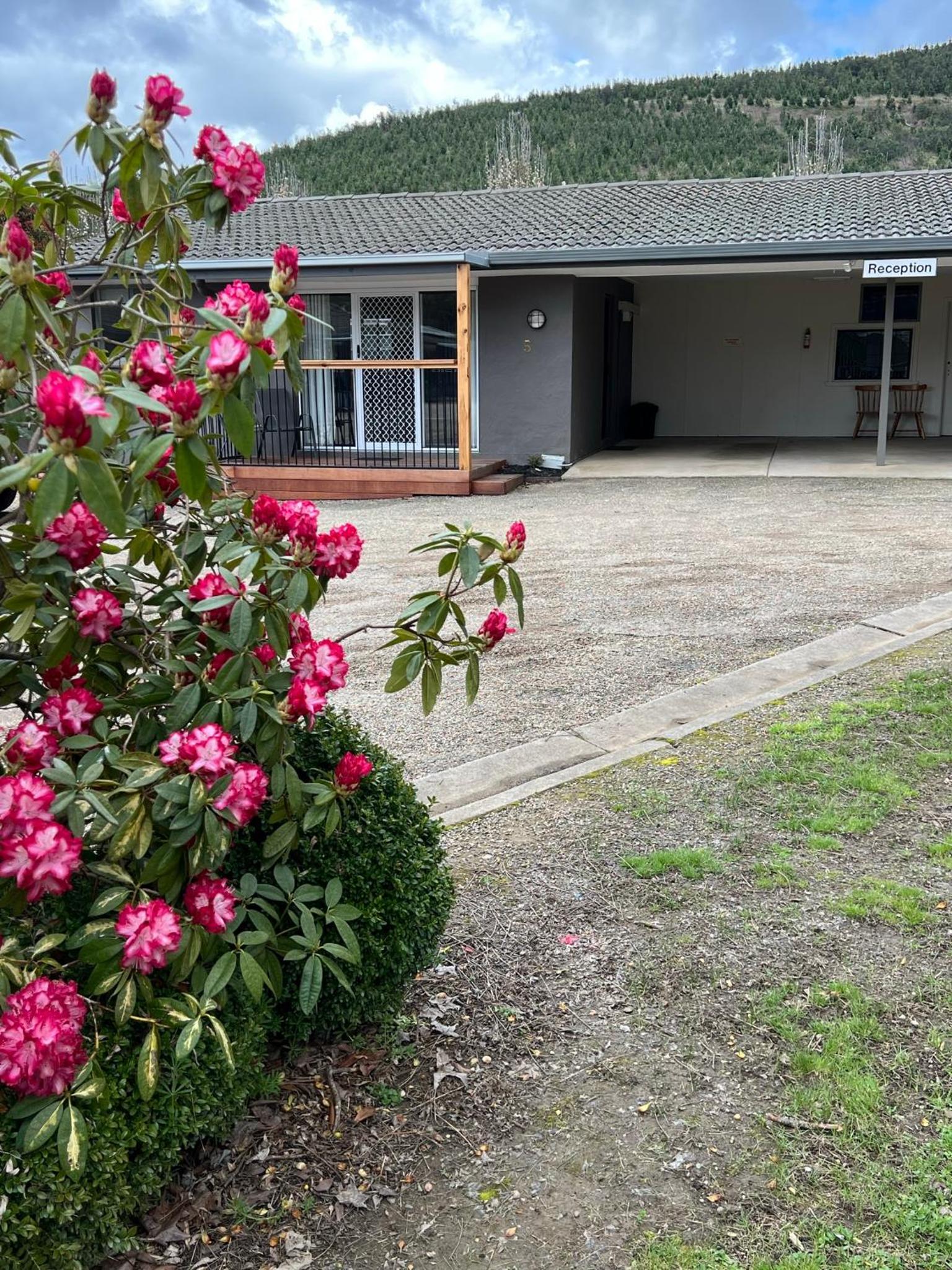 Willow Dene Holiday Apartments