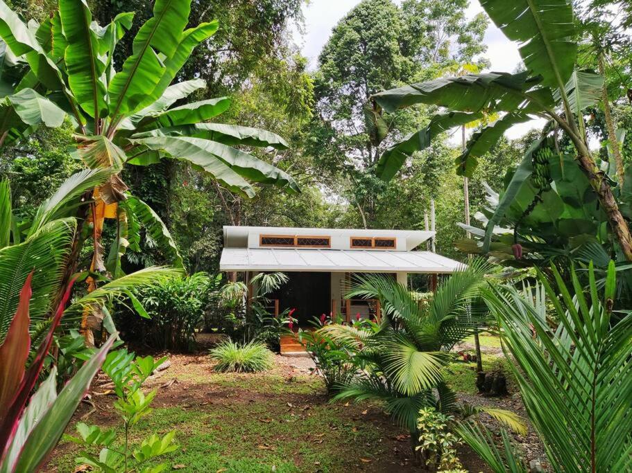 Casa Lele modern house